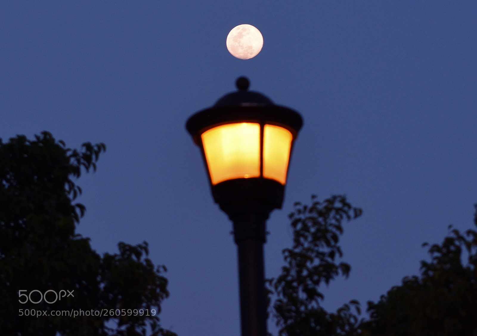 Nikon D3400 sample photo. Fffo photography