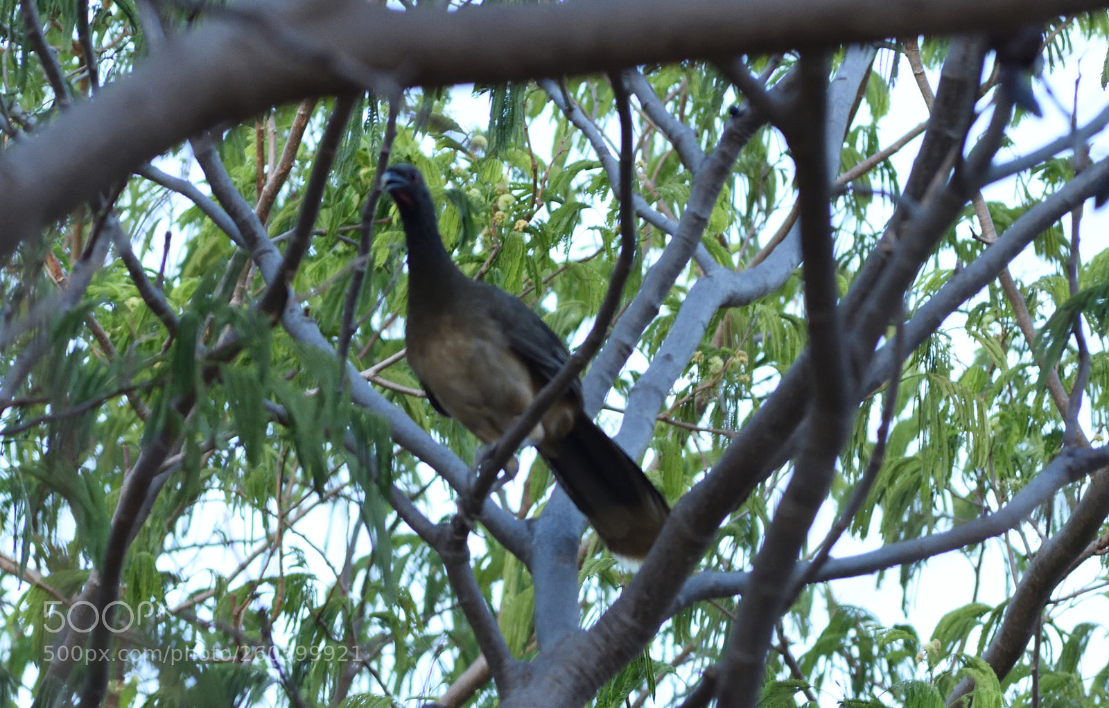 Nikon D3400 sample photo. Ebfbdo photography