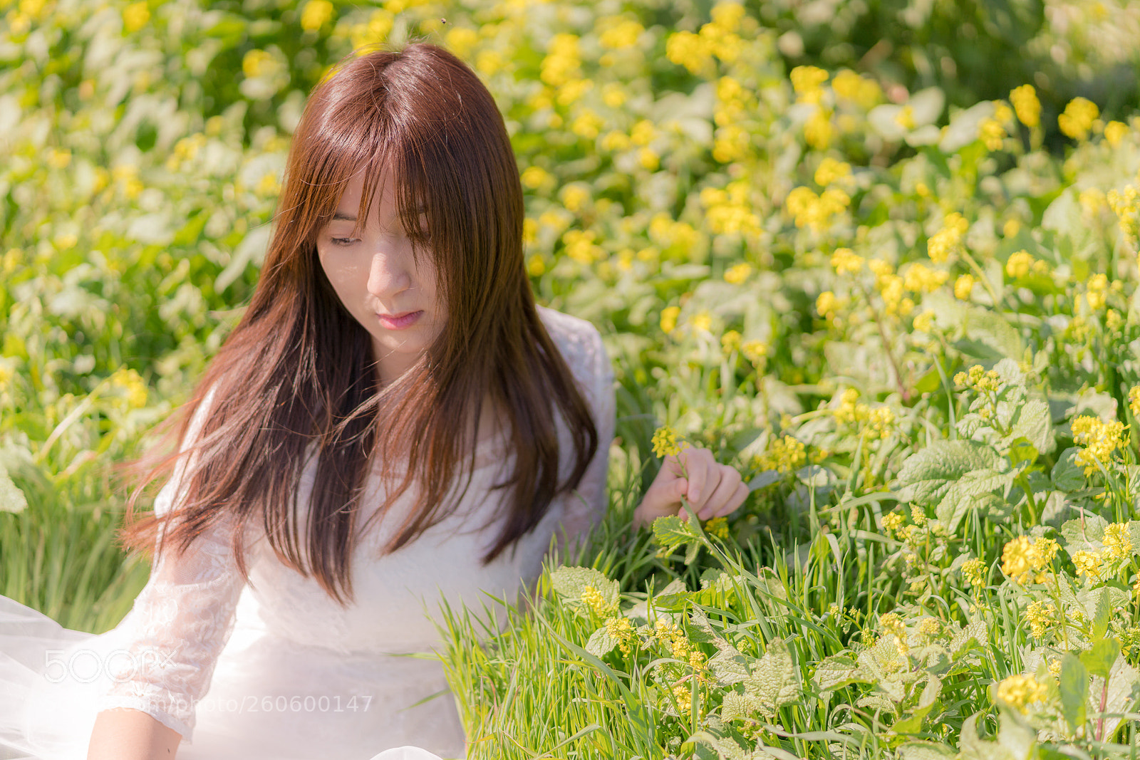 Sony a7R III sample photo. Untitled photography