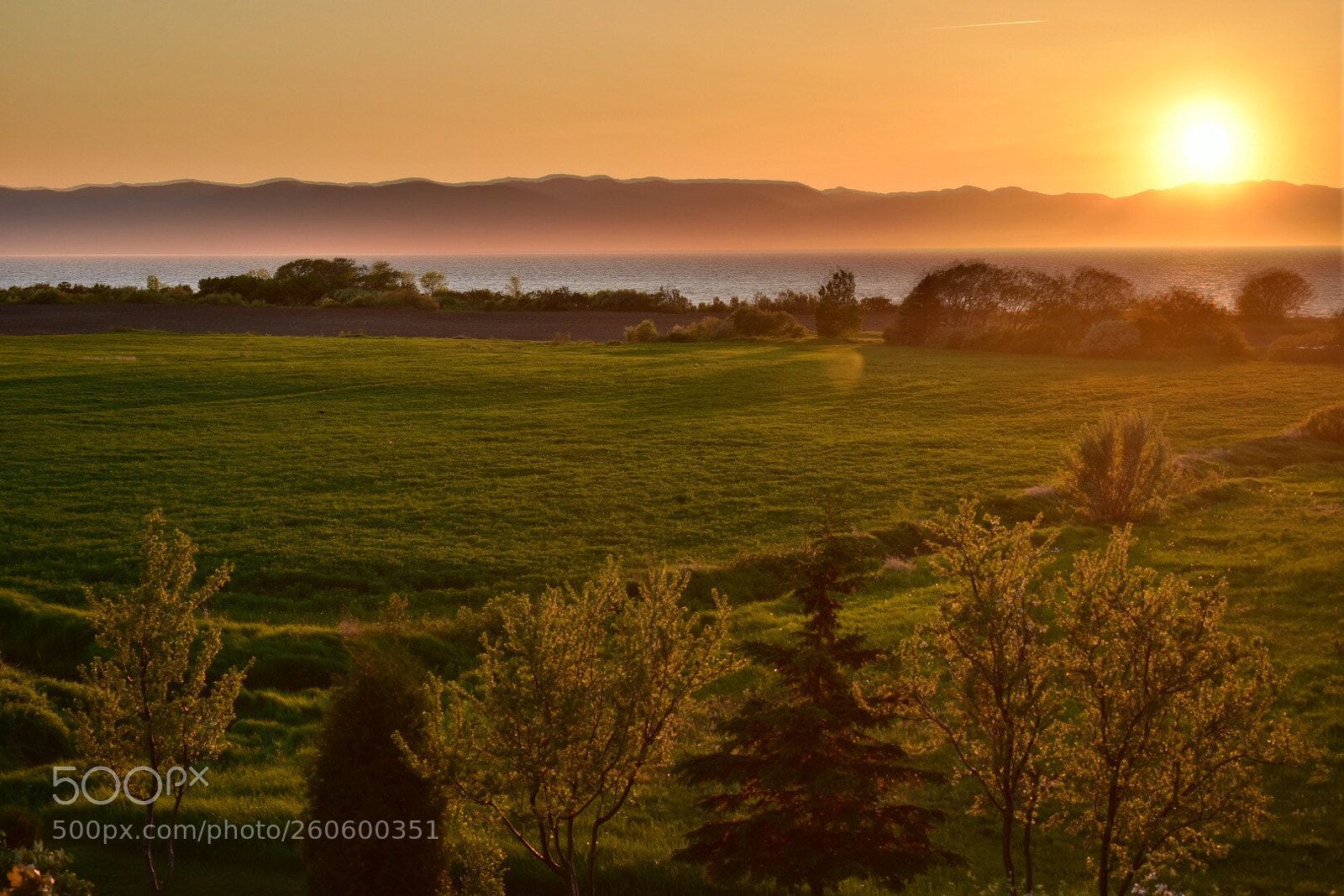 Nikon D7200 sample photo. Golden sunset on the photography