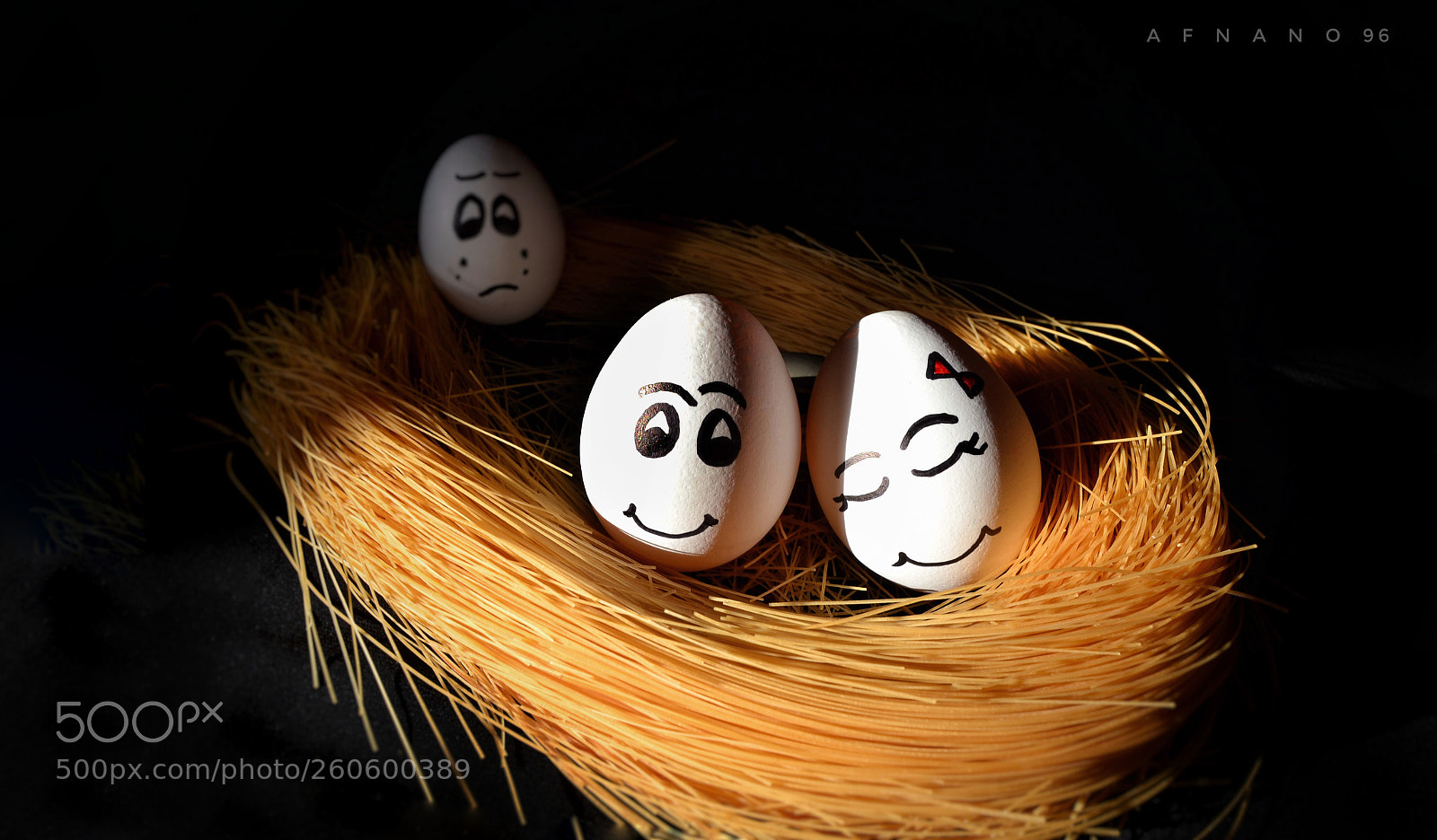 Nikon D3100 sample photo. Untitled photography