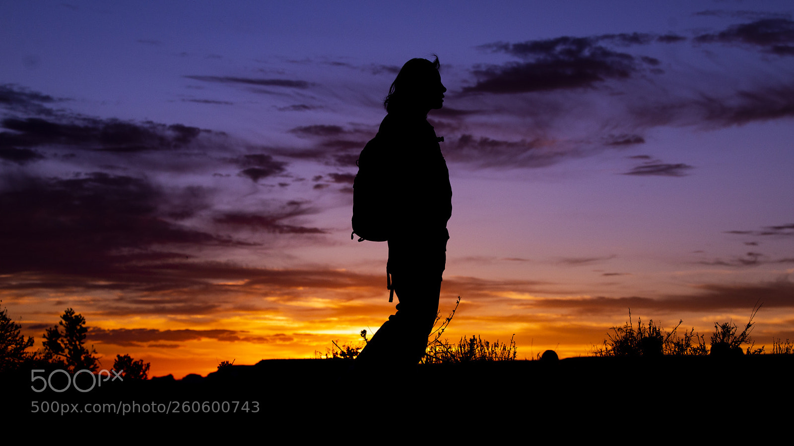 Nikon D610 sample photo. Traveler photography