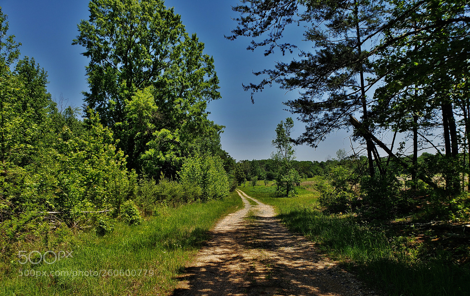 Samsung Galaxy S9+ sample photo. Whippoorwill way 2018 photography