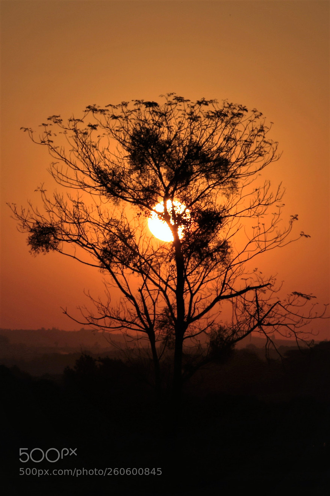 Canon EOS 70D sample photo. Img photography