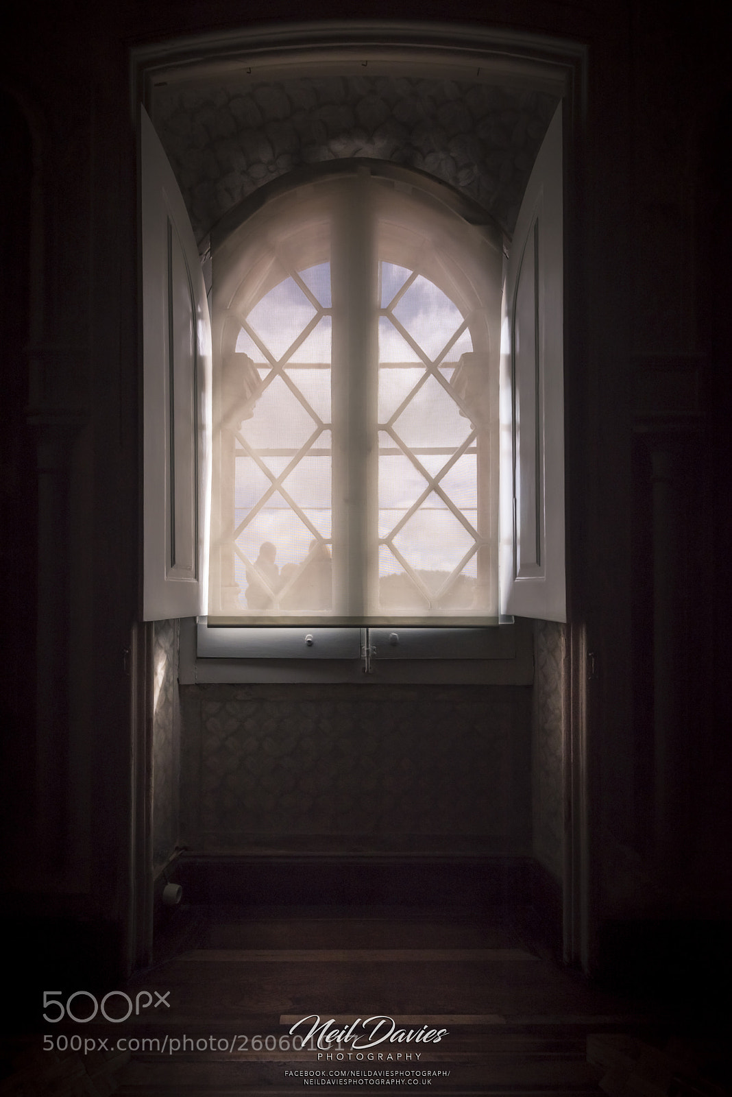 Nikon D810 sample photo. Window photography