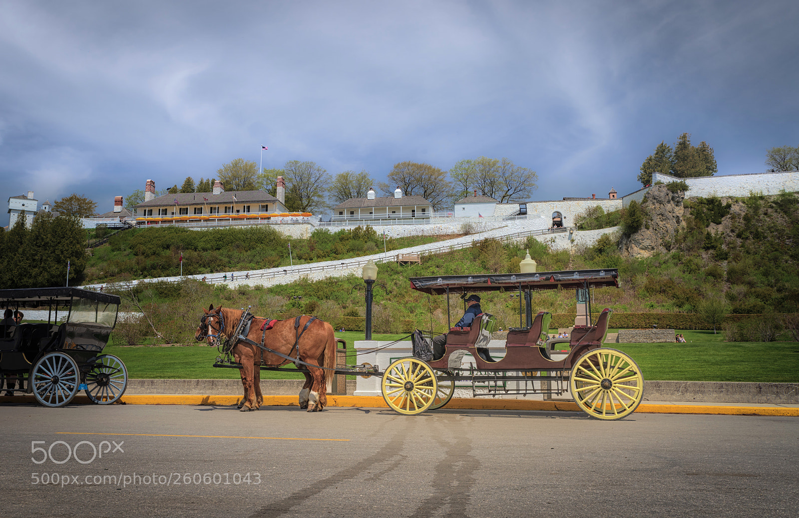 Nikon D850 sample photo. Carriage ride photography