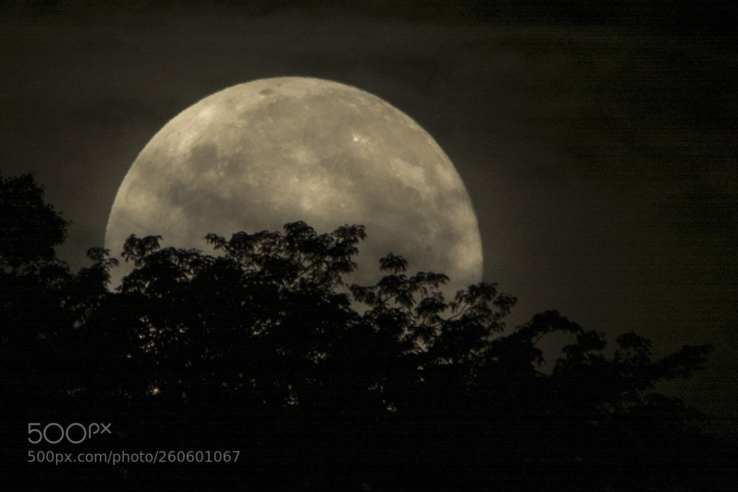 Nikon D7100 sample photo. Untitled photography