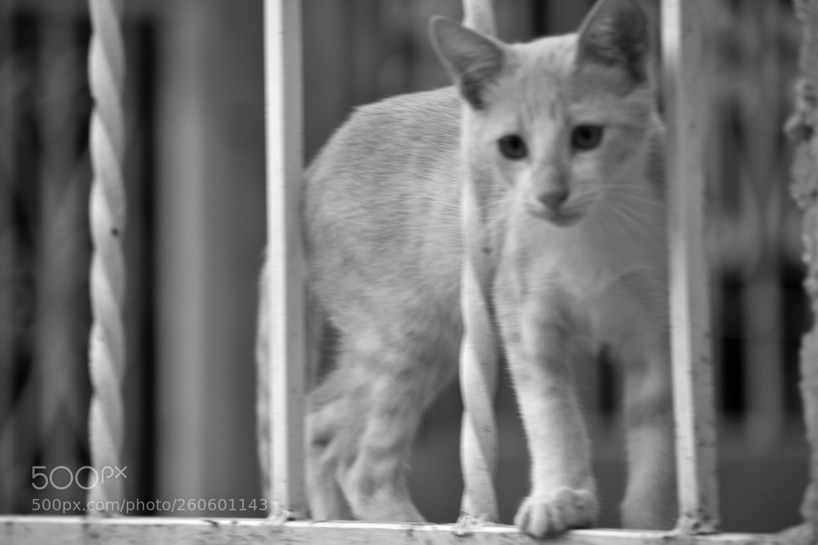 Nikon D3400 sample photo. Bdao photography