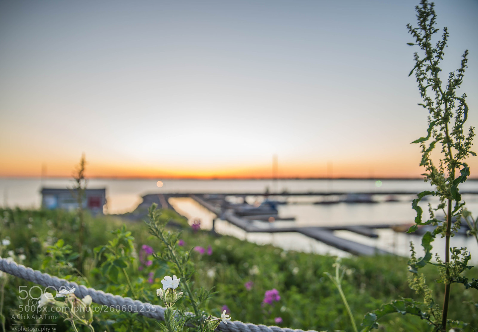 Nikon D610 sample photo. Sackets harbor photography