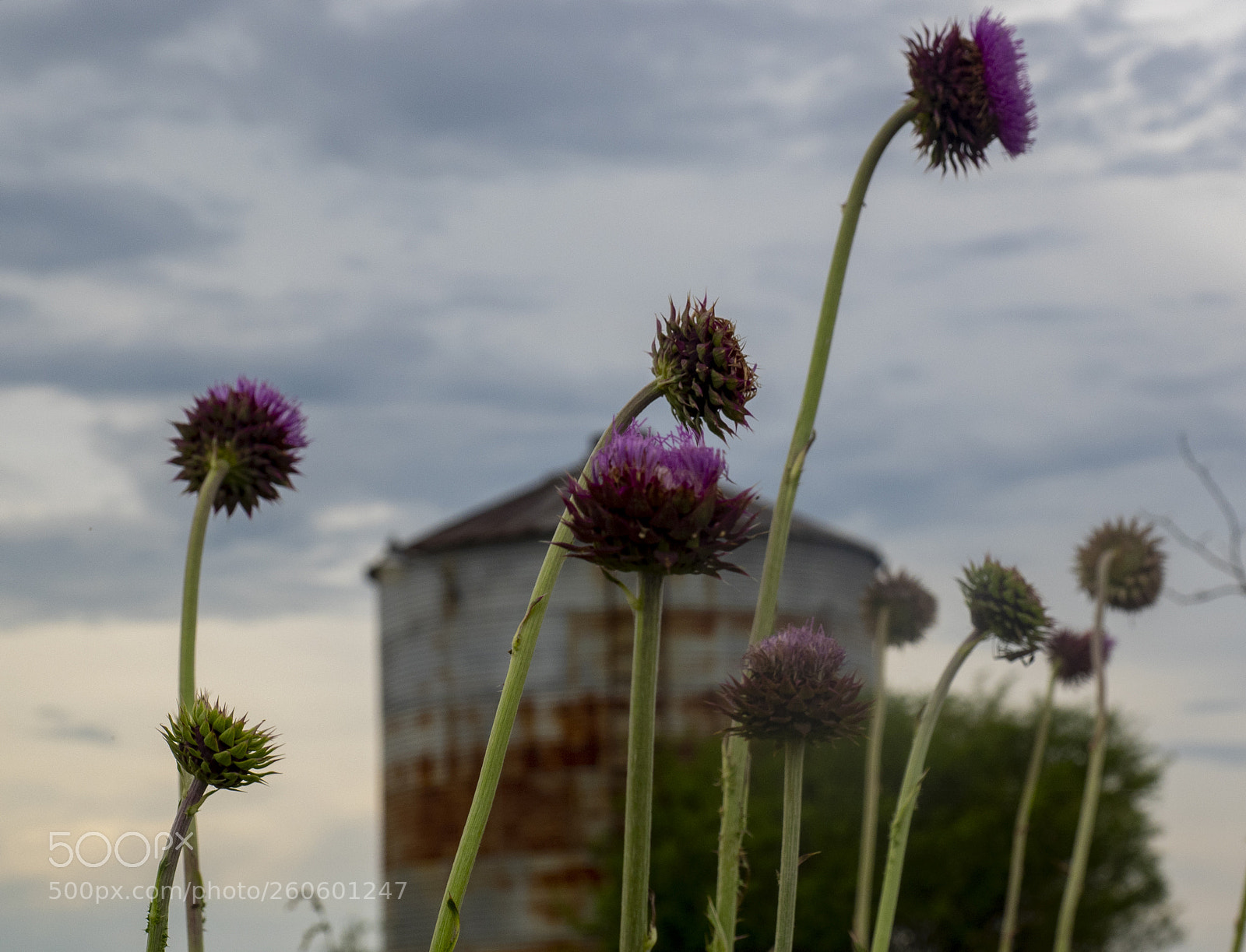 Olympus OM-D E-M1 sample photo. Abandoned silo photography