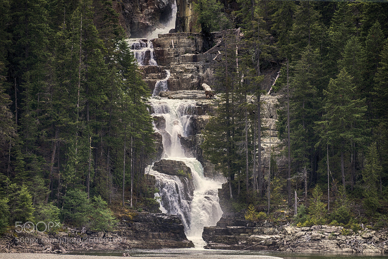 Nikon D610 sample photo. Myra falls photography