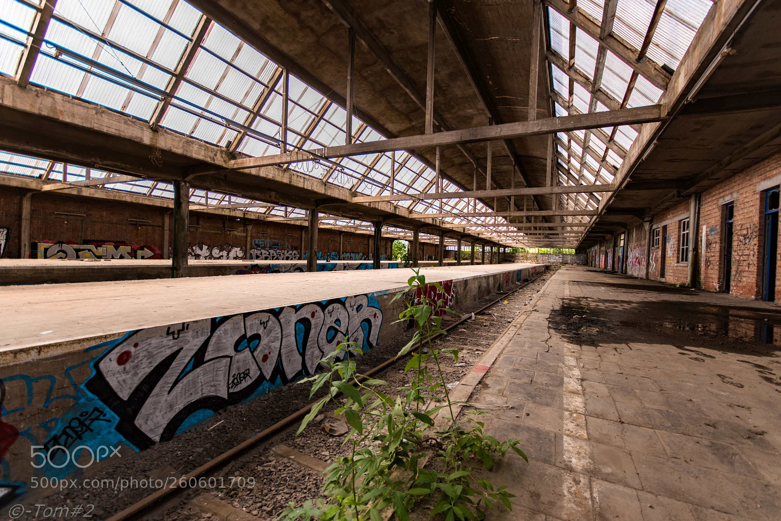 Nikon D5500 sample photo. In the abandoned station photography