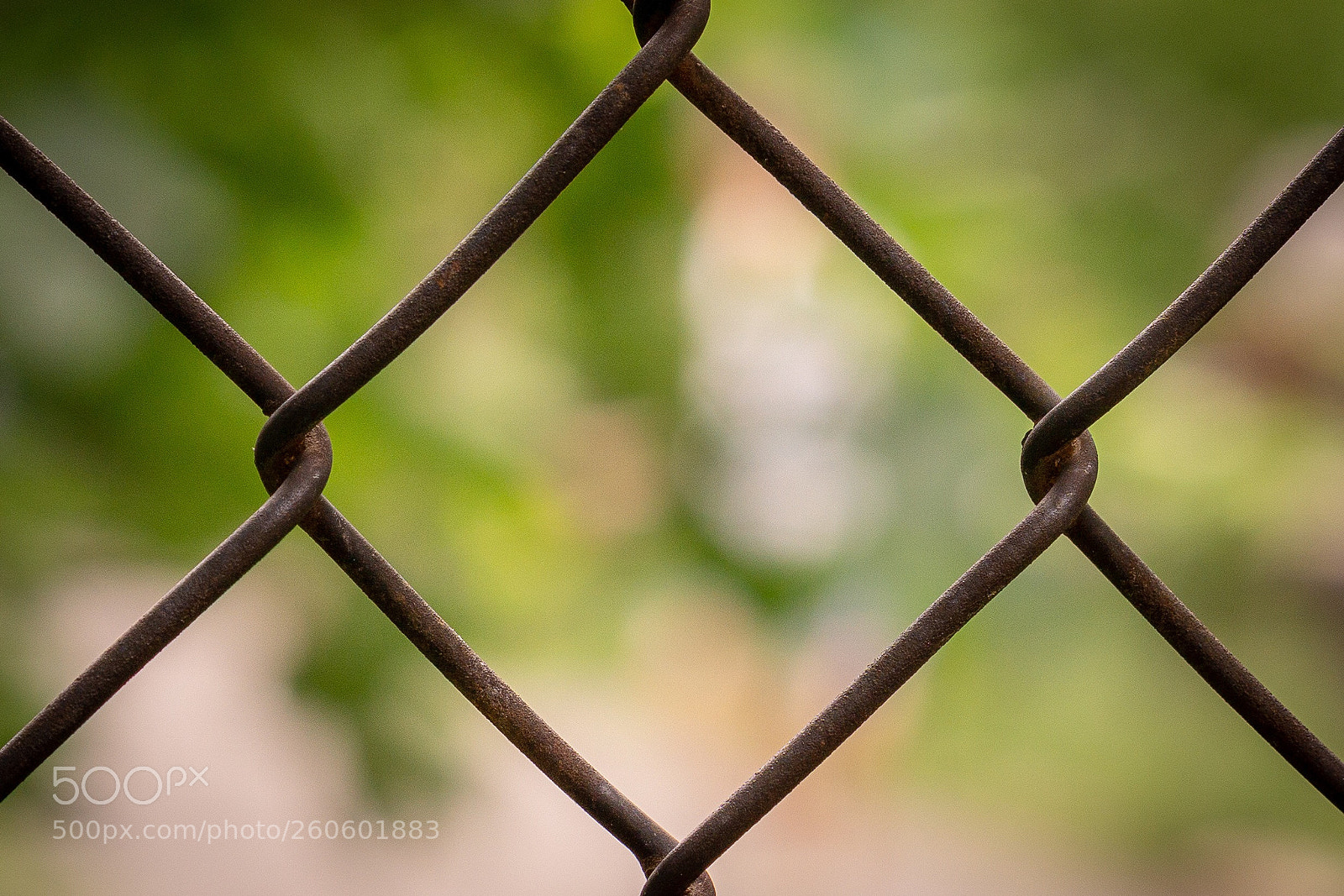 Sony a6000 sample photo. Untitled photography
