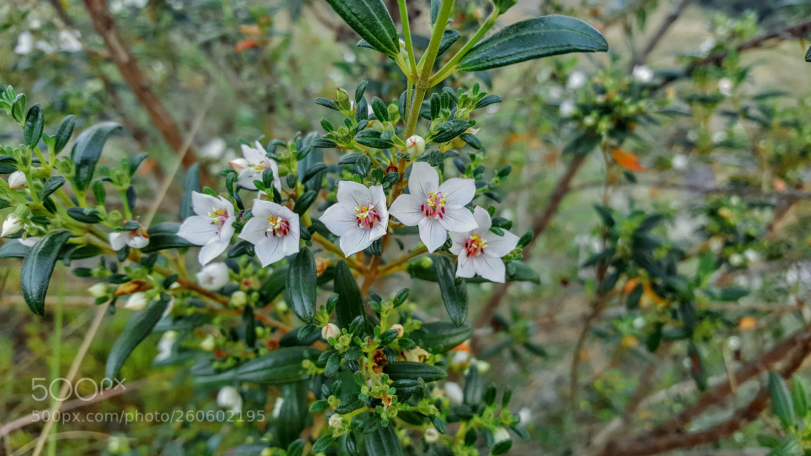 Samsung Galaxy S6 sample photo. 20180429_172303.jpg photography