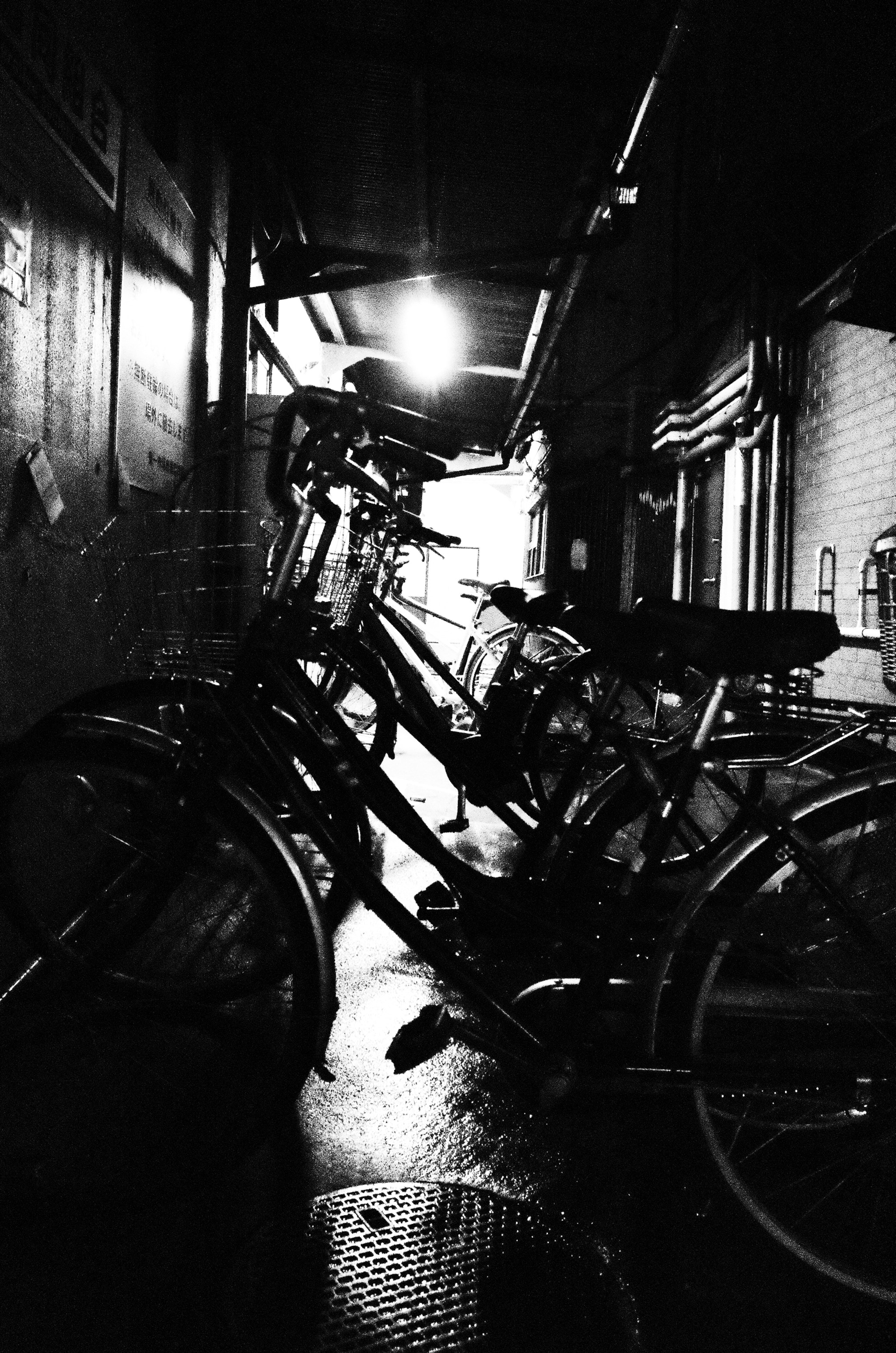Ricoh GR II sample photo
