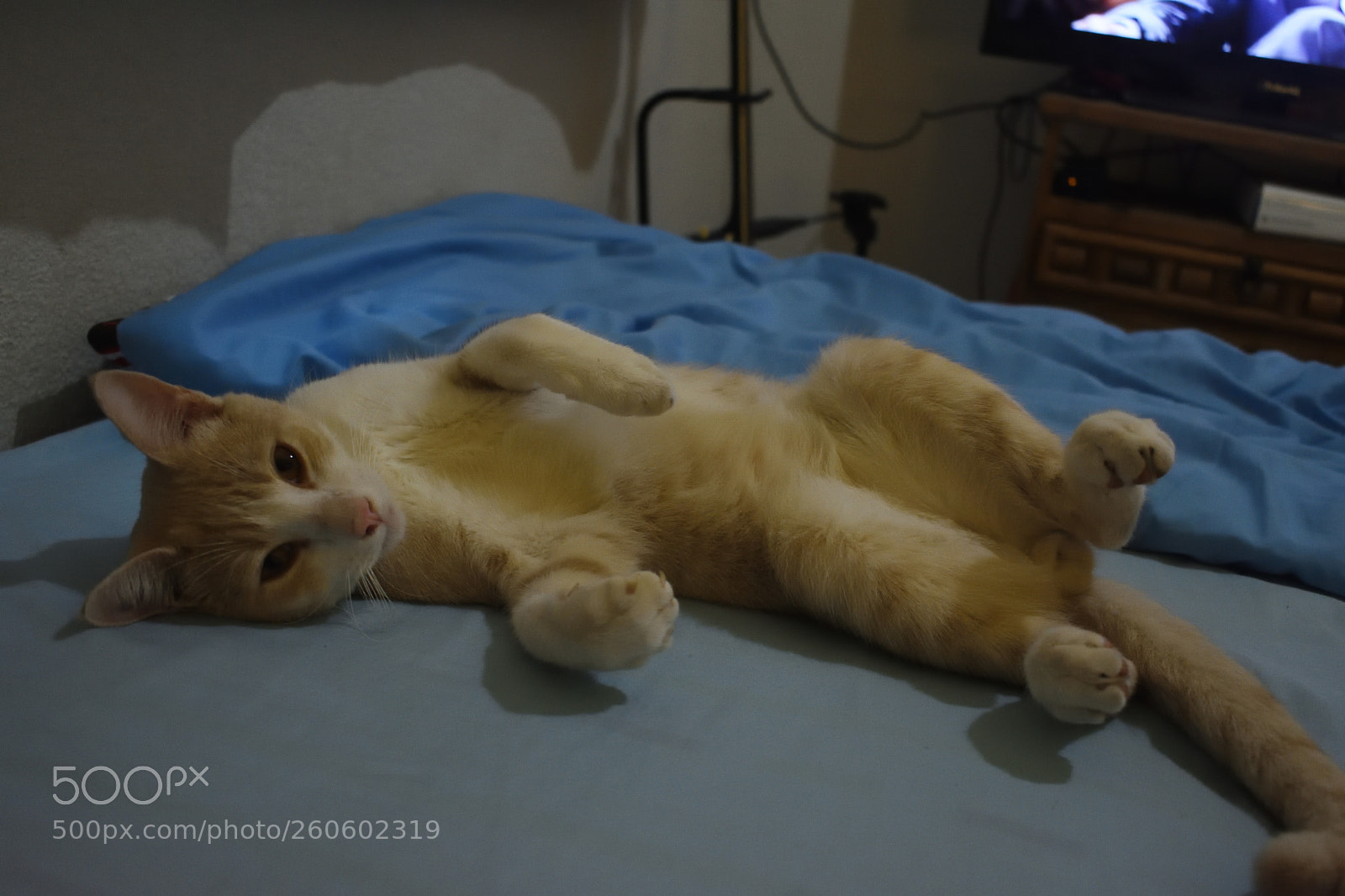 Nikon D3400 sample photo. Durmiendo photography