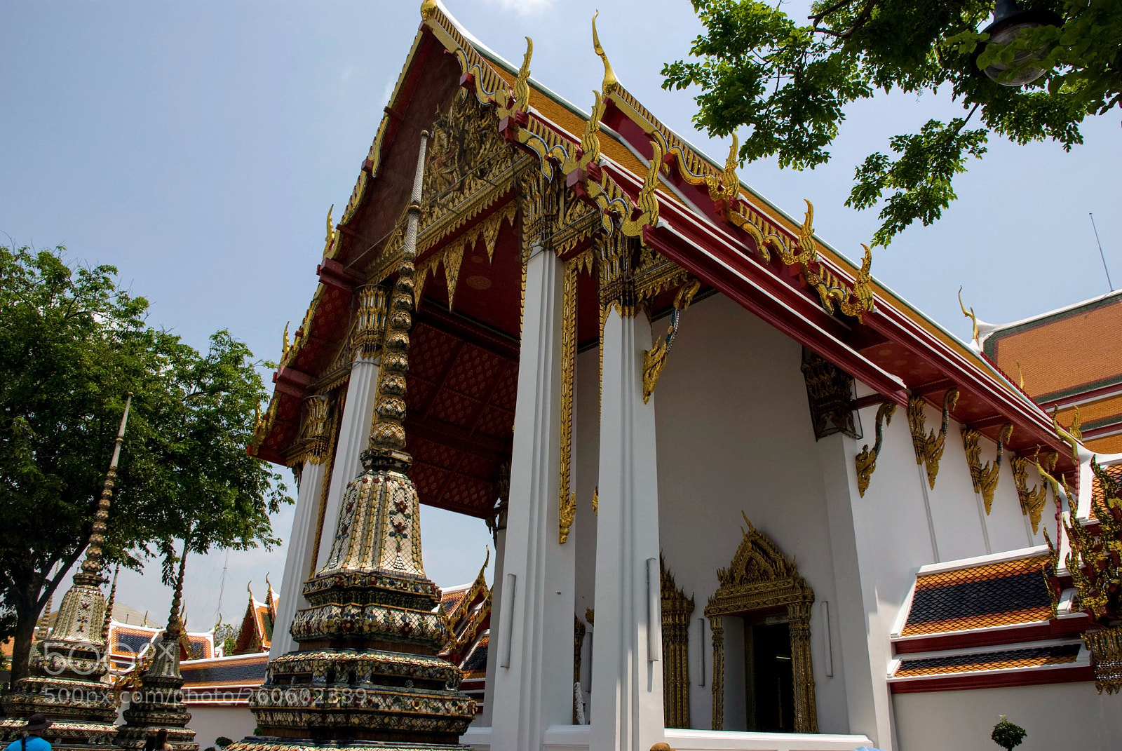 Nikon D80 sample photo. Wat pho temple photography