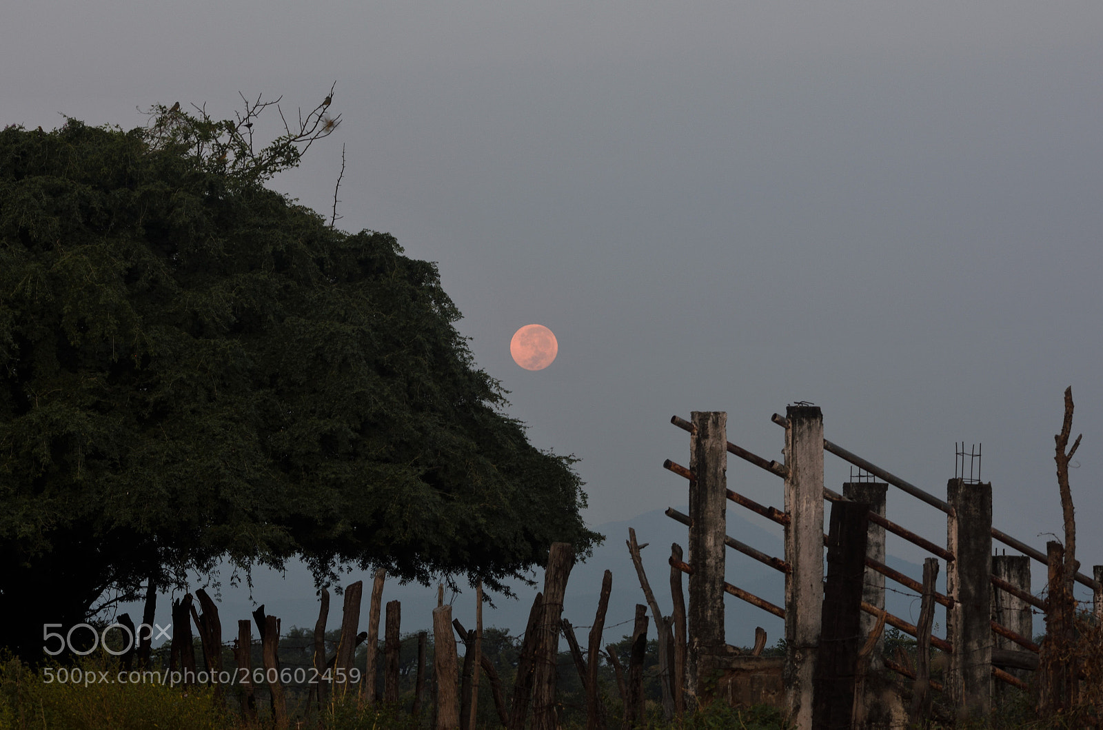 Nikon D3400 sample photo. Amanecer con luna photography
