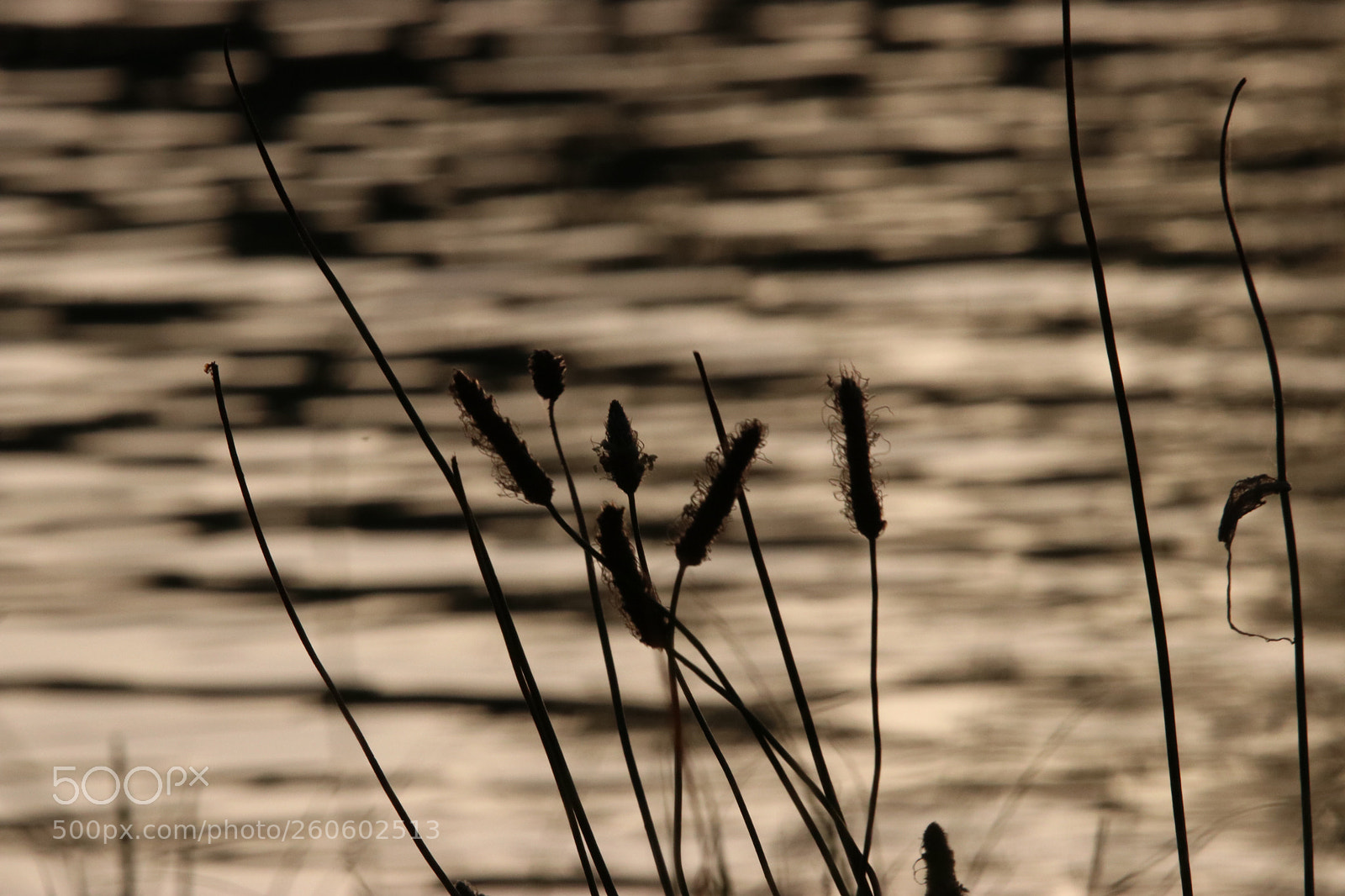 Canon EOS 80D sample photo. Untitled photography