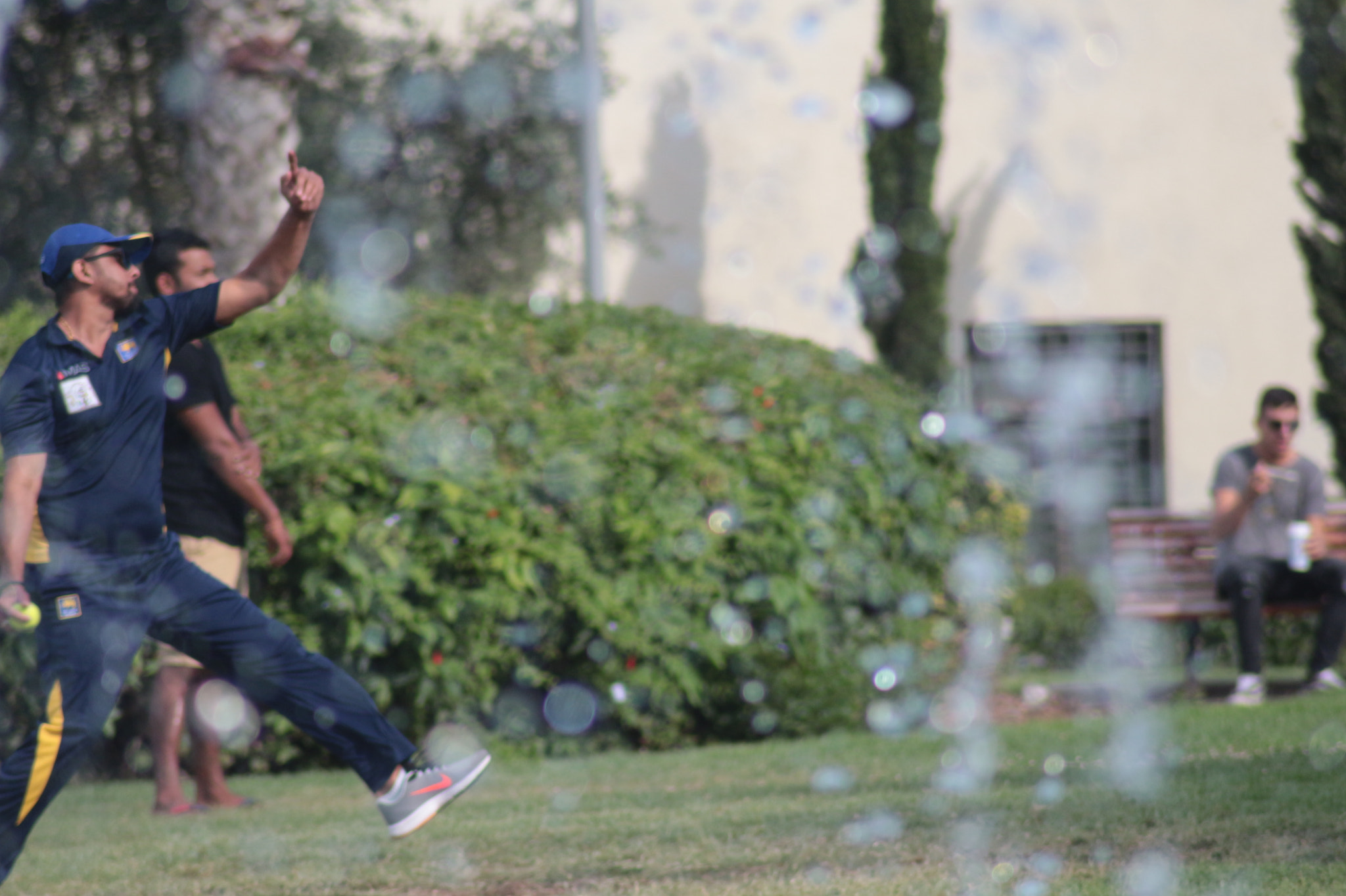 Canon EOS 700D (EOS Rebel T5i / EOS Kiss X7i) sample photo. Cricket photography