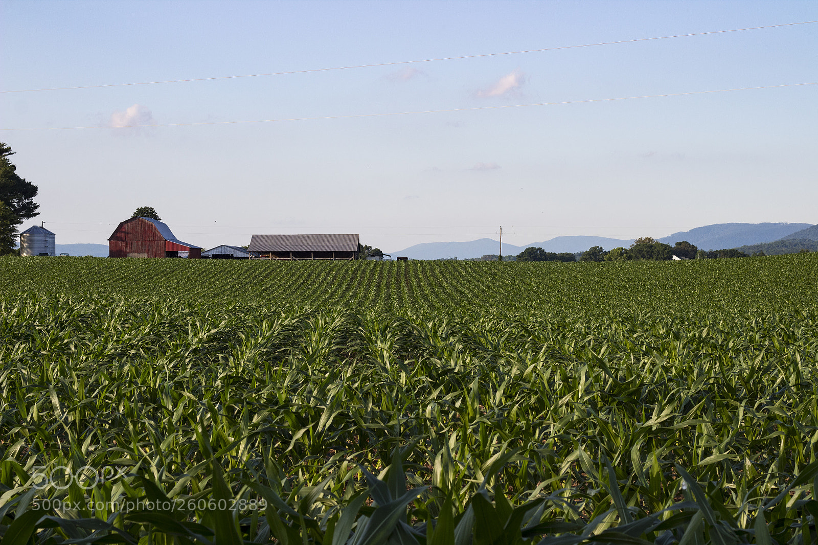 Canon EOS 1300D (EOS Rebel T6 / EOS Kiss X80) sample photo. Barn in cornfield photography