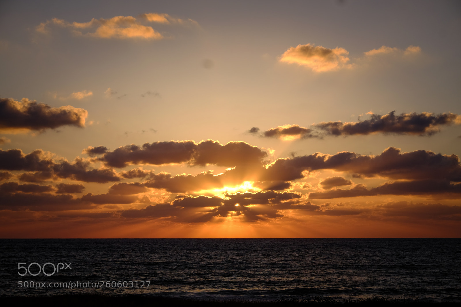 Fujifilm X-T1 sample photo. Red & black photography