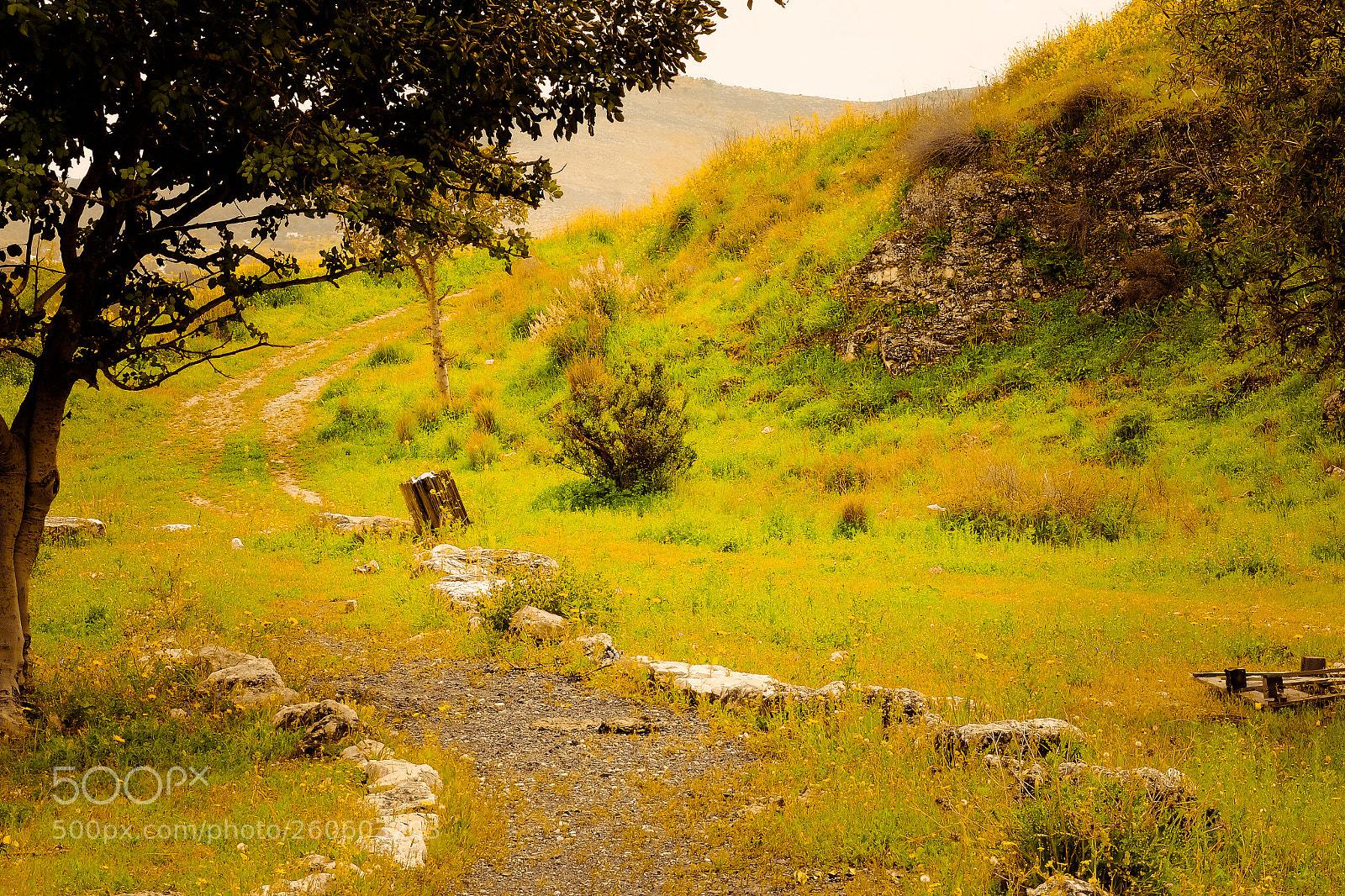 Fujifilm X-T1 sample photo. Magic colors photography