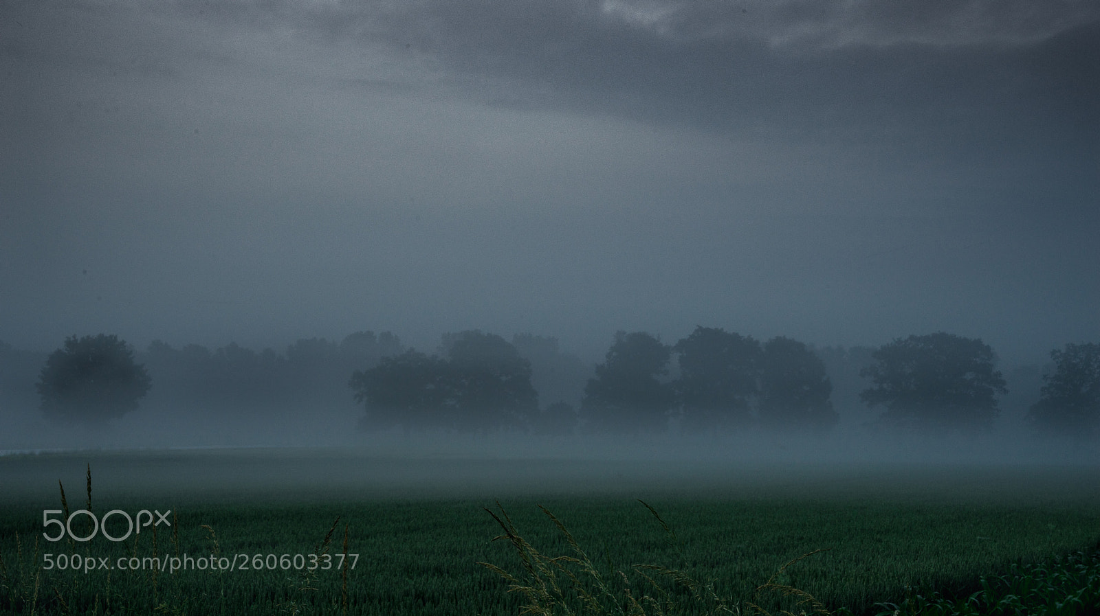 Sony a7R sample photo. Morgennebel rodebach photography