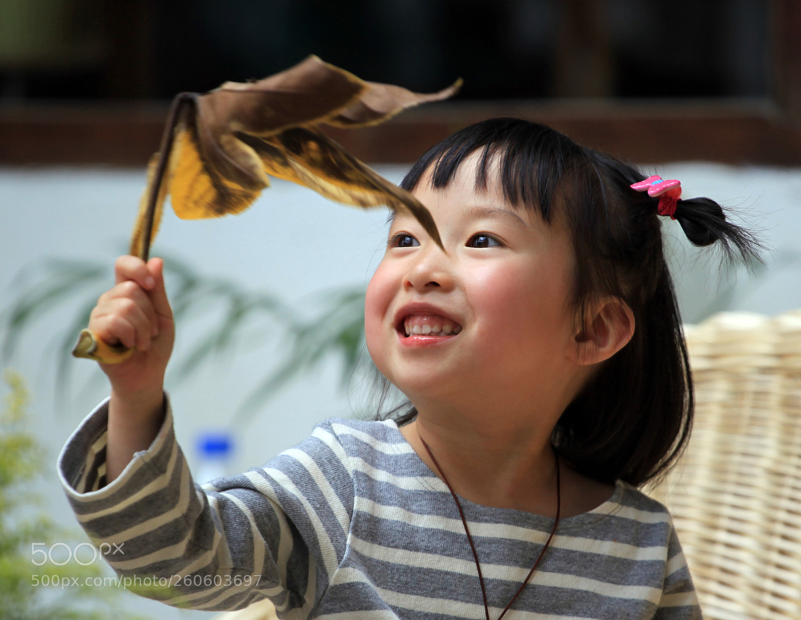 Canon EOS 5D Mark II sample photo. Untitled photography