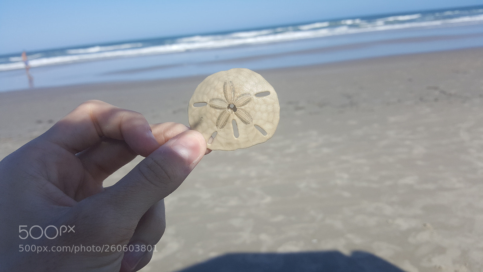 Samsung Galaxy S6 sample photo. Bolacha da praia.jpg photography