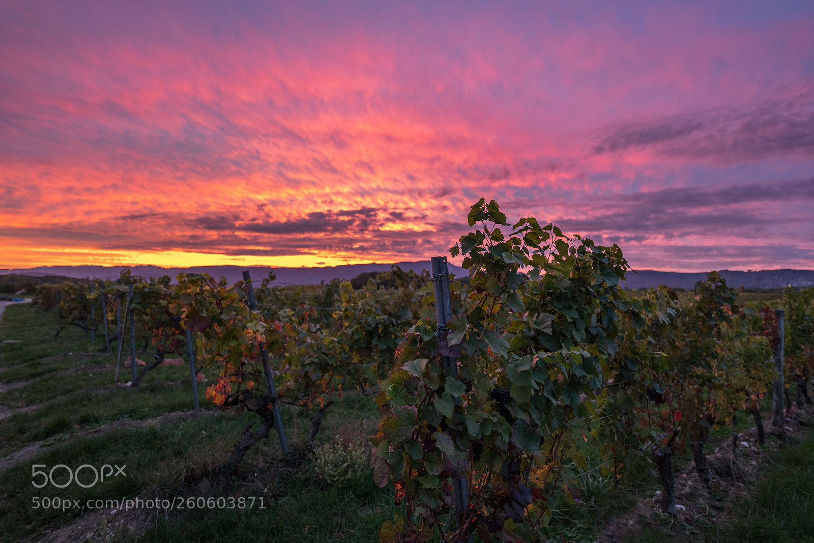 Sony a7R II sample photo. Crazy sunset in the photography