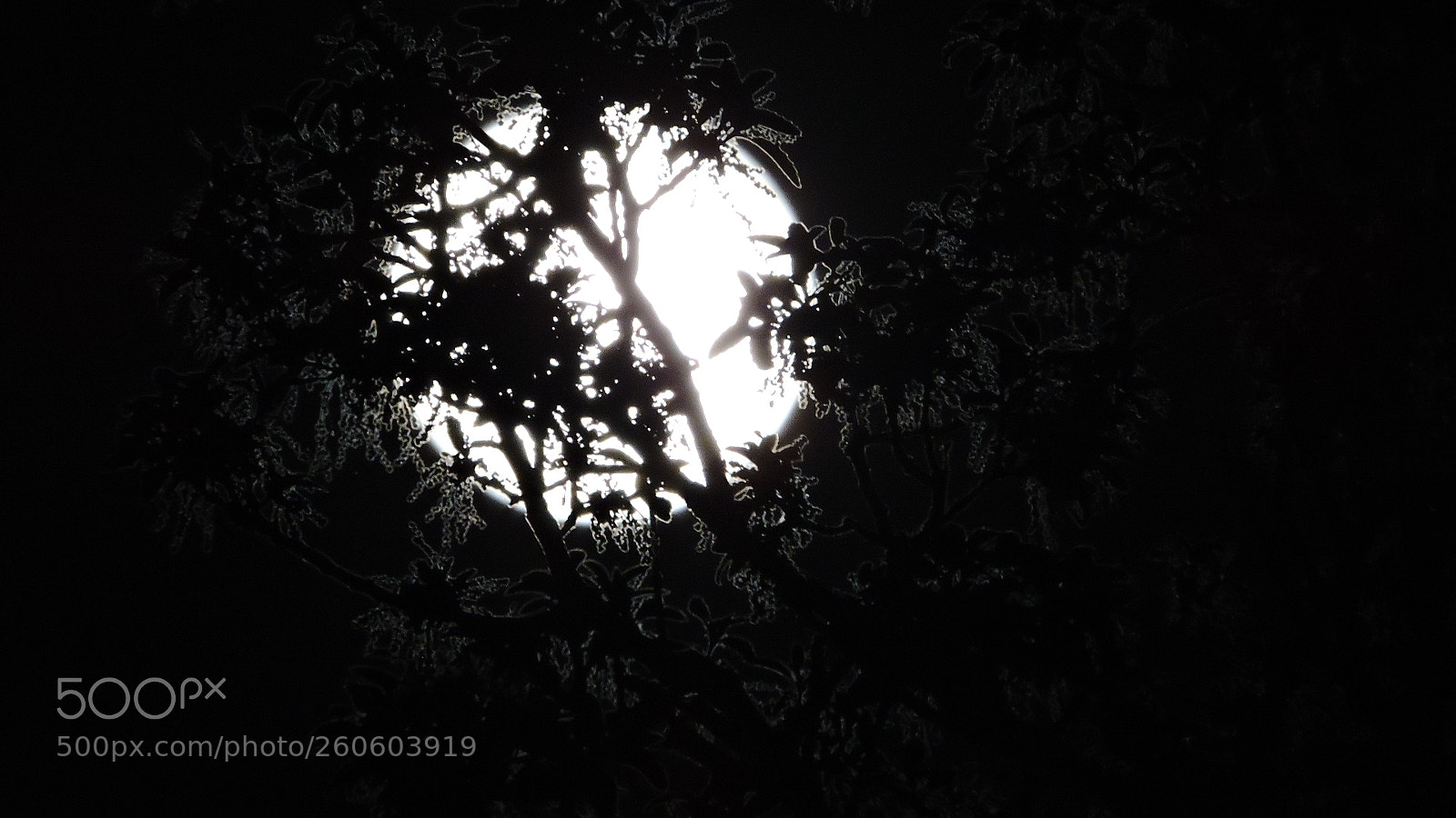 Nikon Coolpix P600 sample photo. Romantic night photography