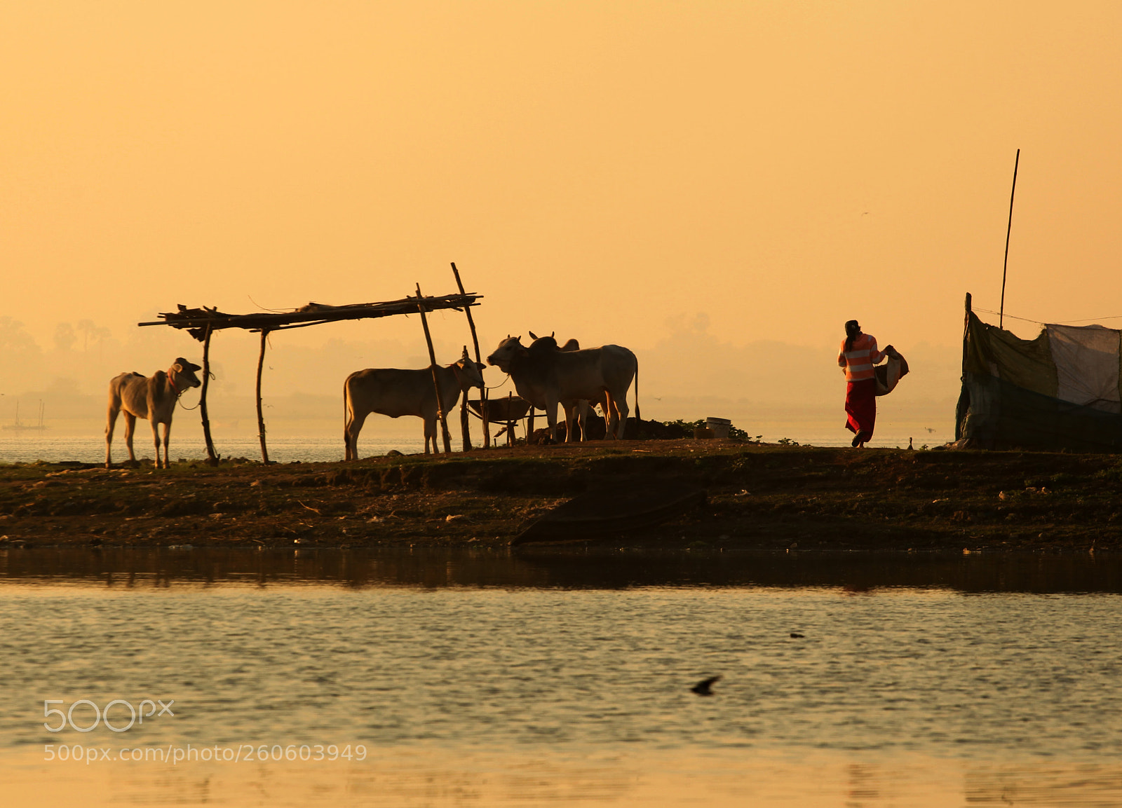 Canon EOS 5D Mark II sample photo. Untitled photography