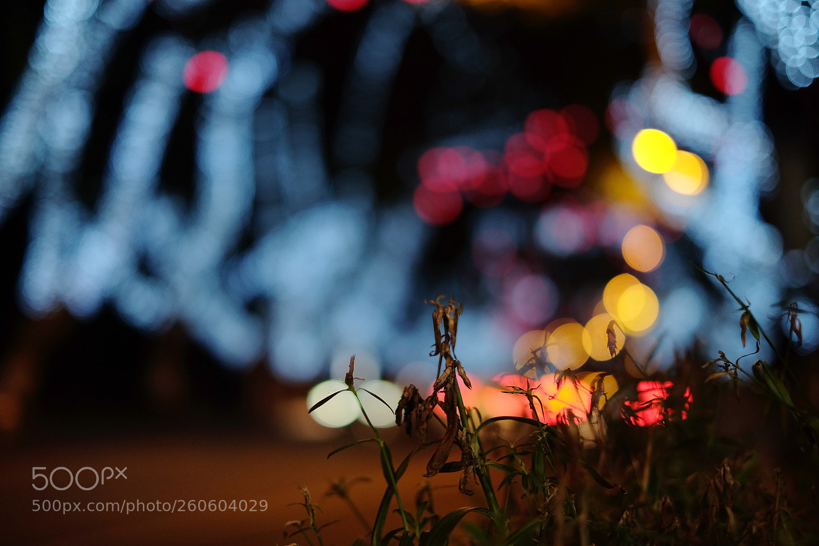 Fujifilm X-T10 sample photo. Shine photography