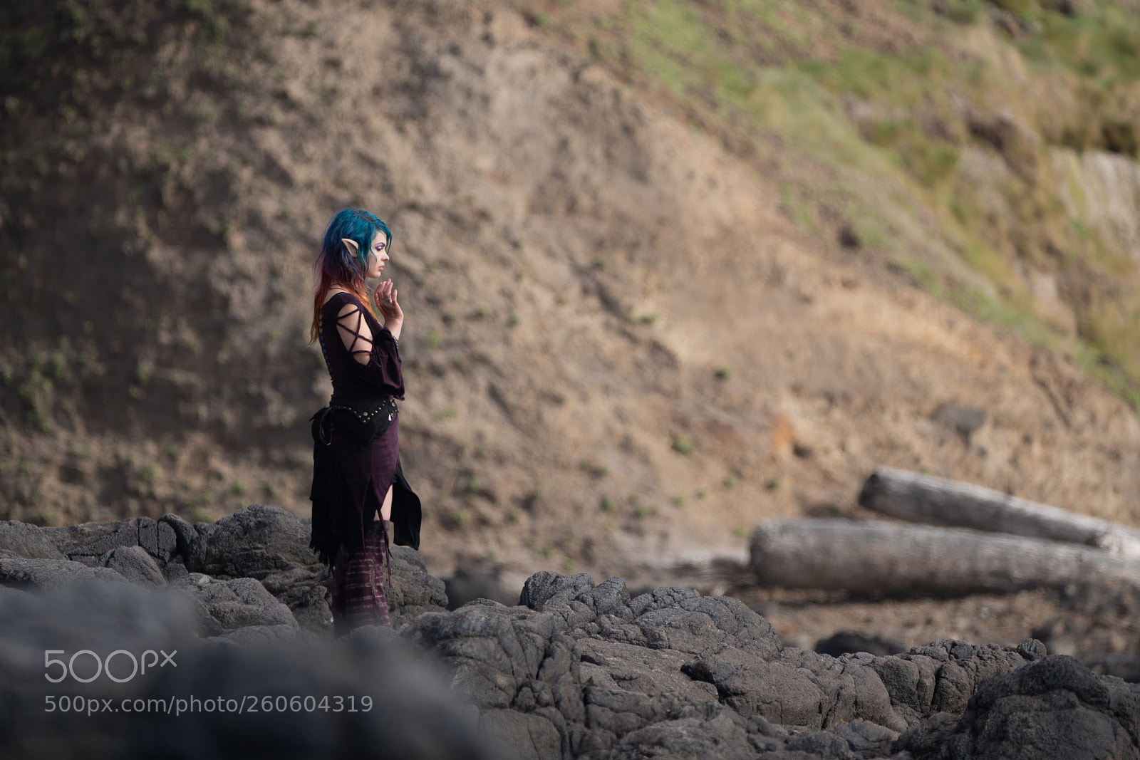 Sony a7R III sample photo. Elf photography