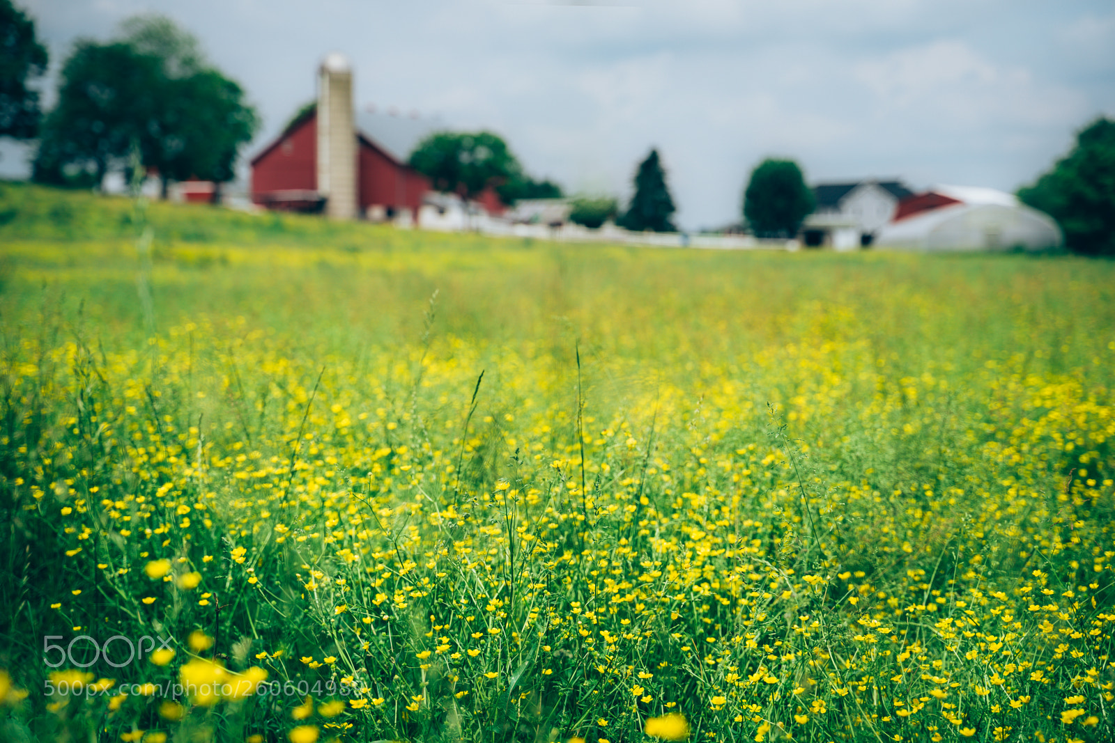Sony a7 III sample photo. Lancaster barn photography