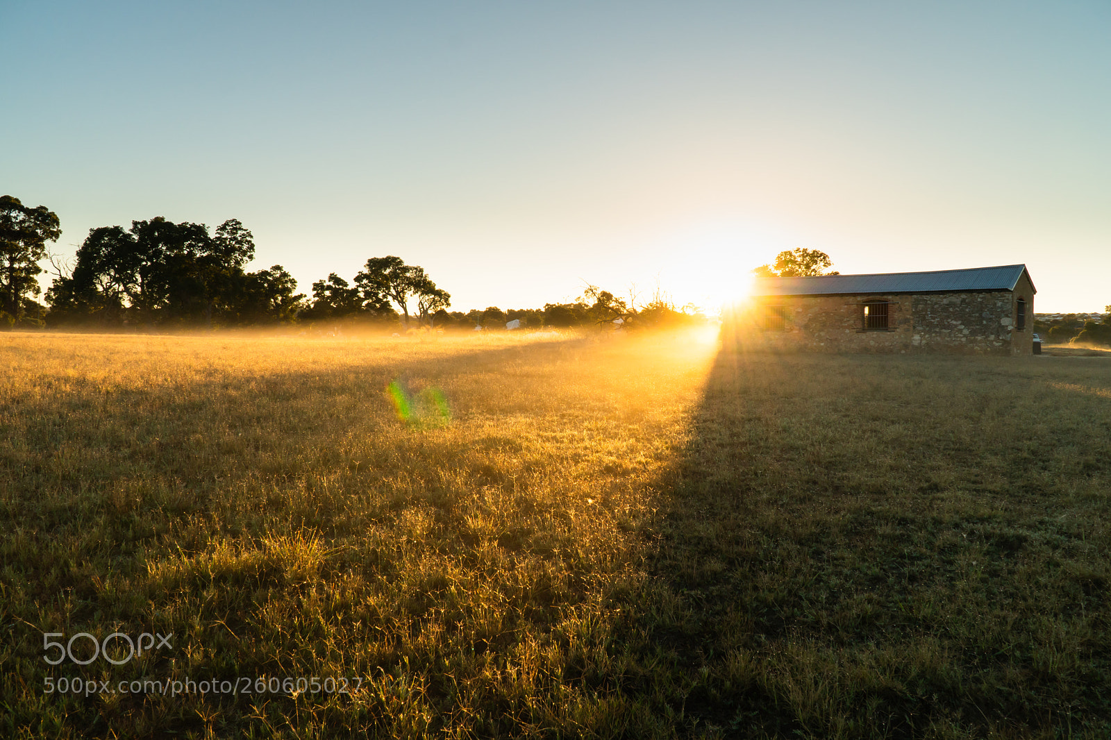 Sony a6300 sample photo. Morning light photography