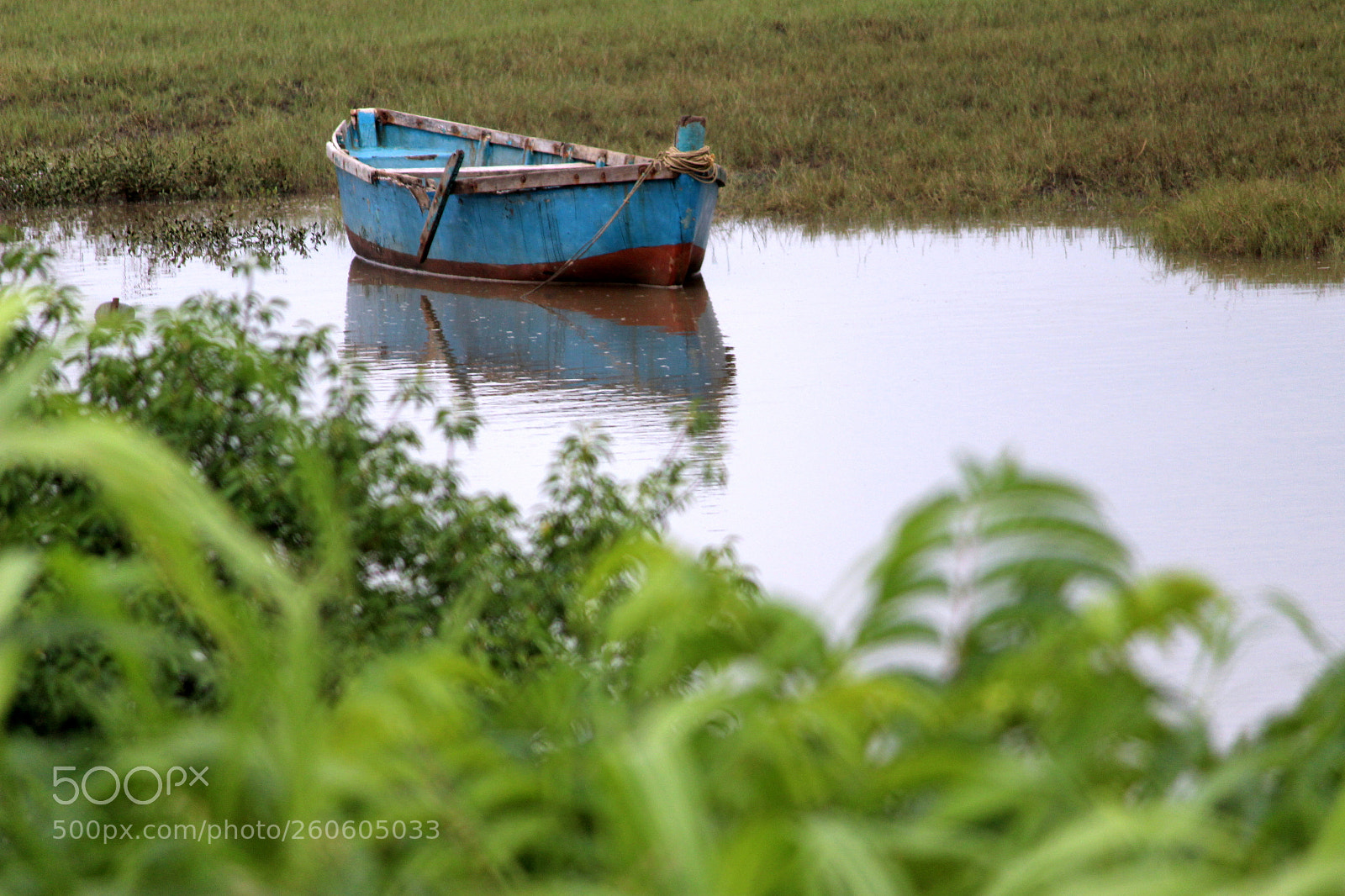 Canon EF-S 55-250mm F4-5.6 IS II sample photo. Img photography