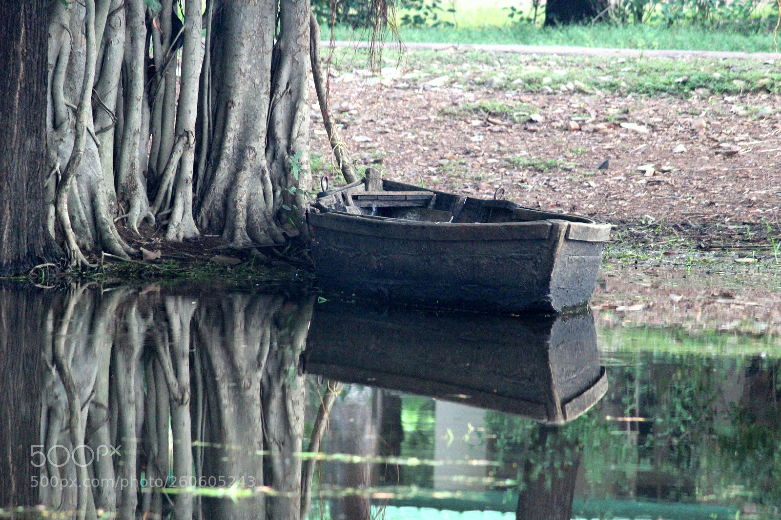 Canon EF-S 55-250mm F4-5.6 IS II sample photo. Img photography