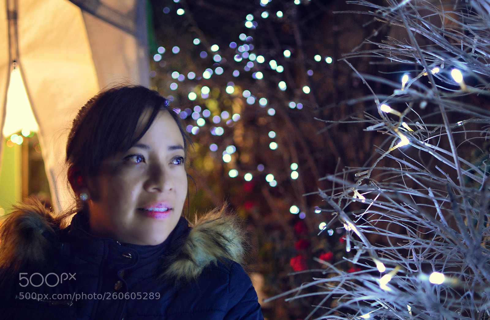 Nikon D5100 sample photo. Untitled photography