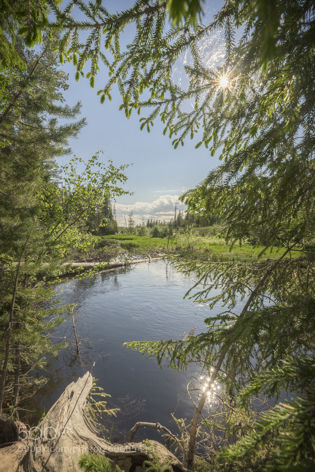 Nikon D810 sample photo. River, boulder and trees photography