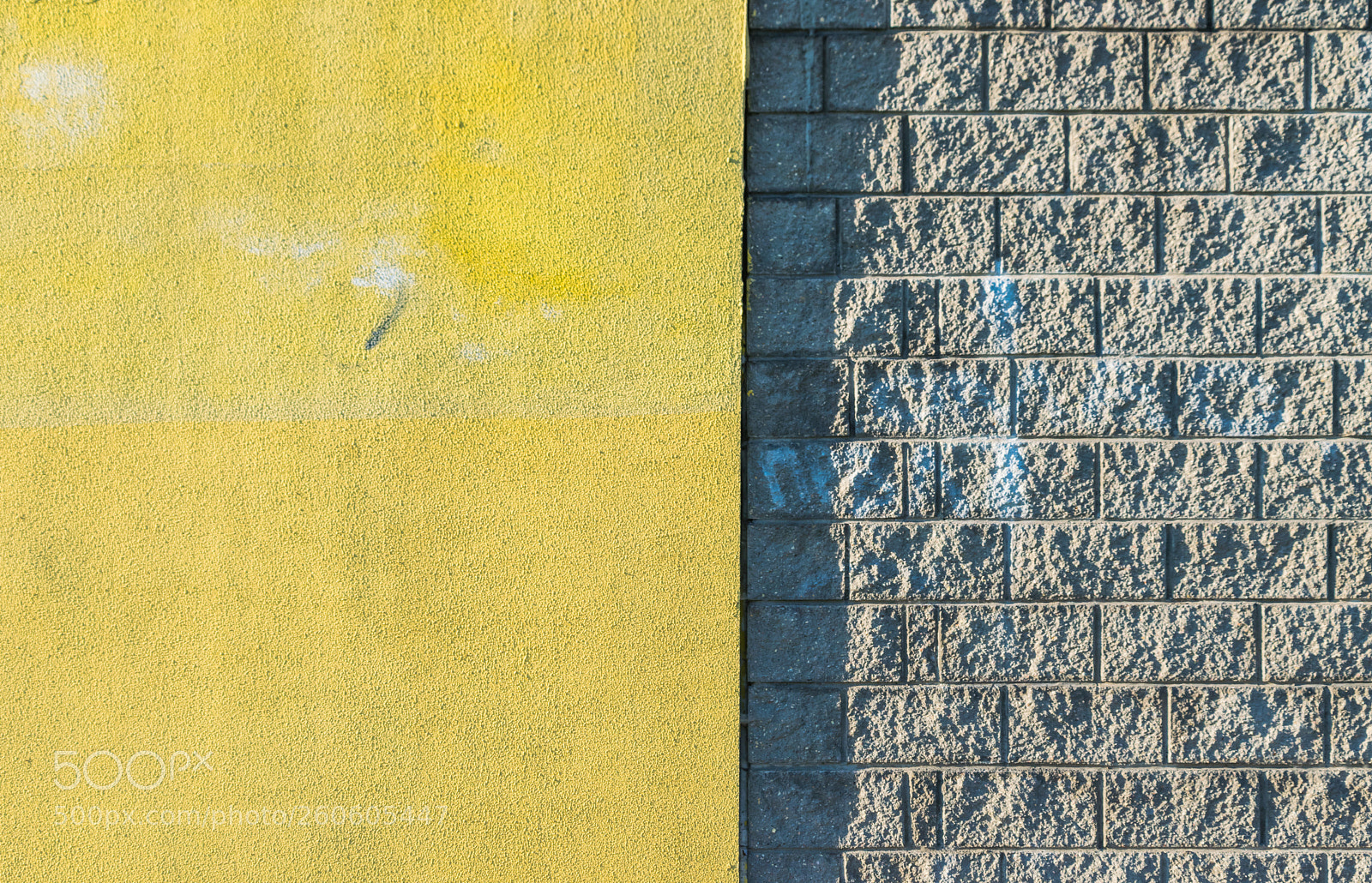 Nikon D3300 sample photo. Yellow photography