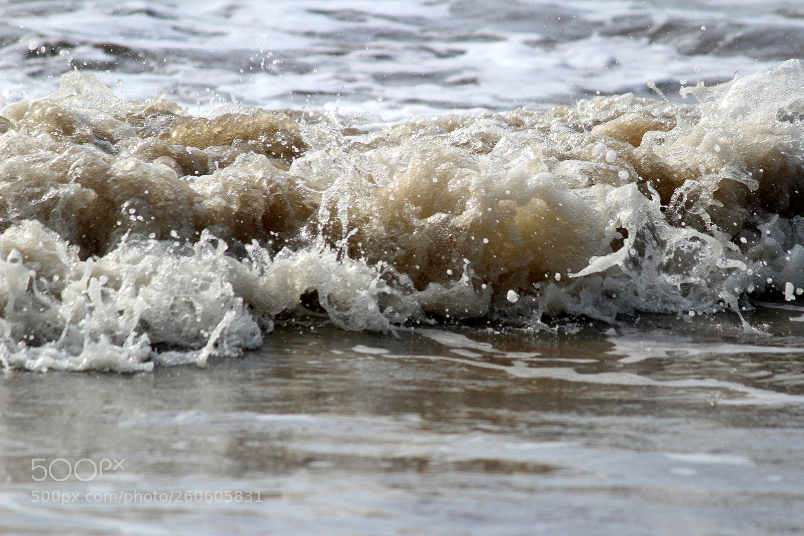 Canon EF-S 55-250mm F4-5.6 IS II sample photo. Img photography