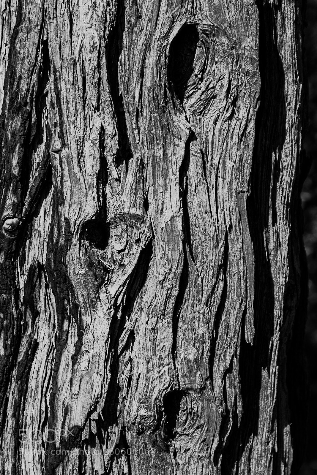 Nikon D750 sample photo. Untitled photography
