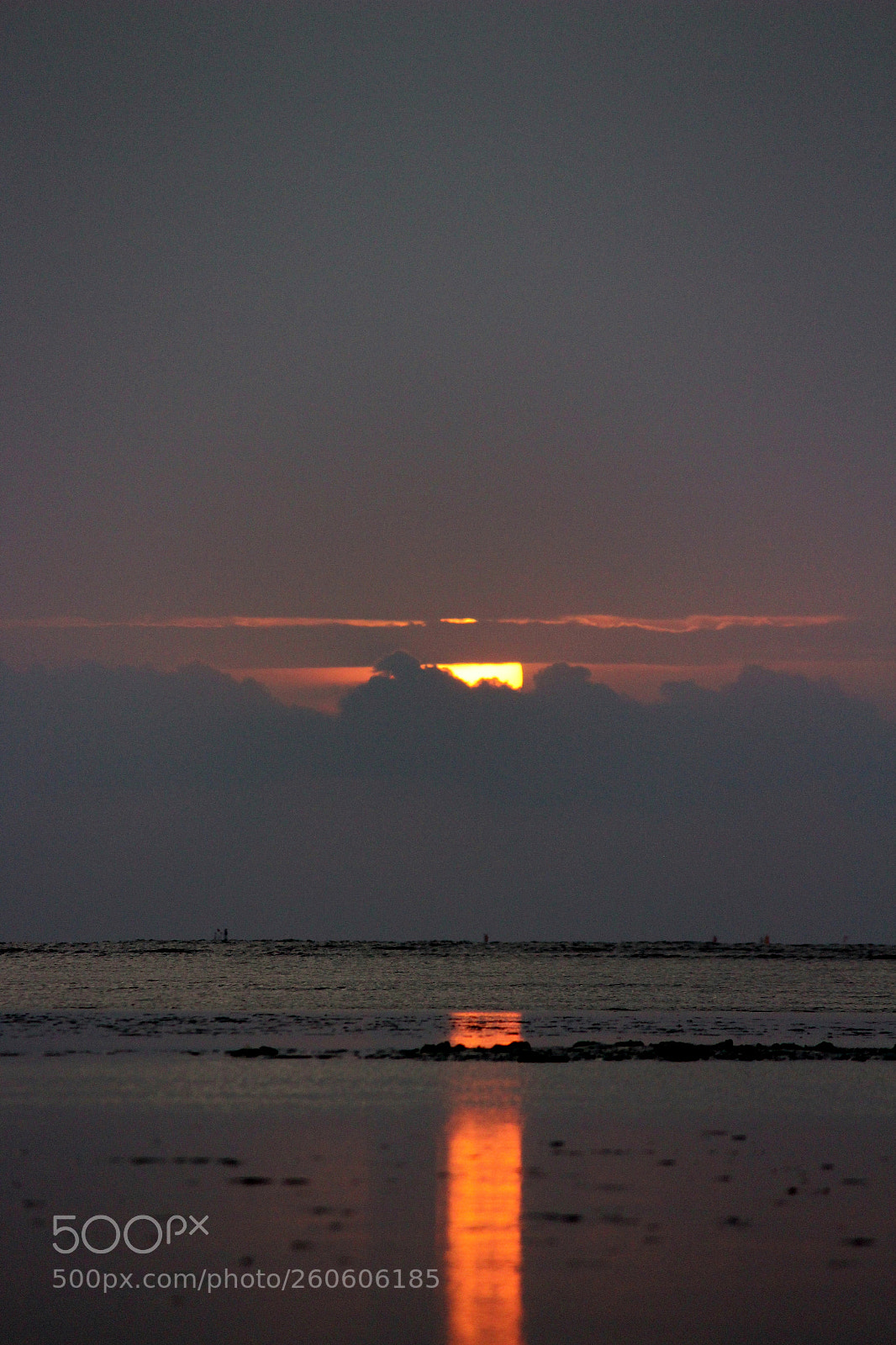 Canon EF-S 55-250mm F4-5.6 IS II sample photo. Golden sky photography