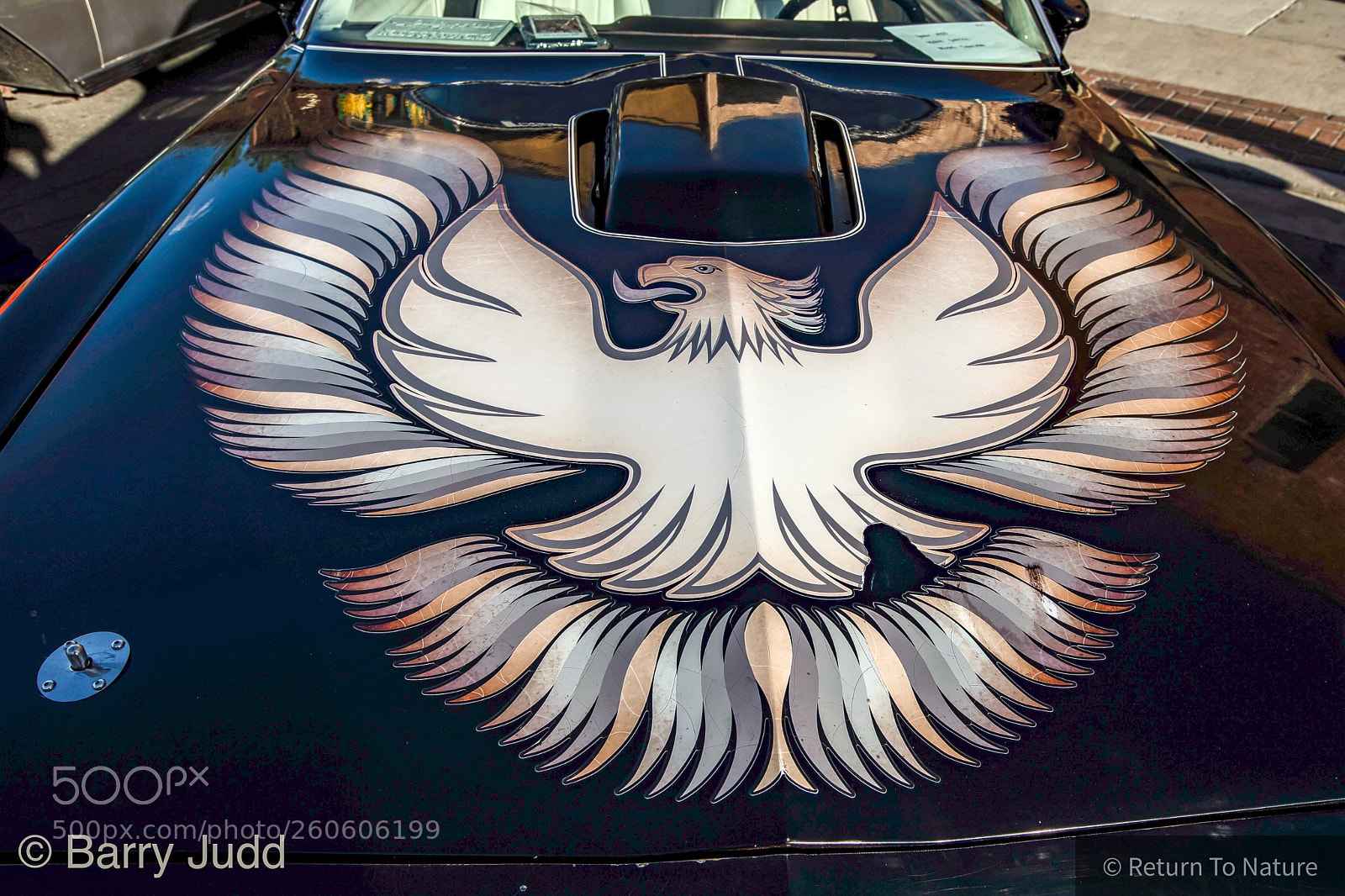 Canon EOS 5D Mark IV sample photo. The 1978 pontiac trans am photography
