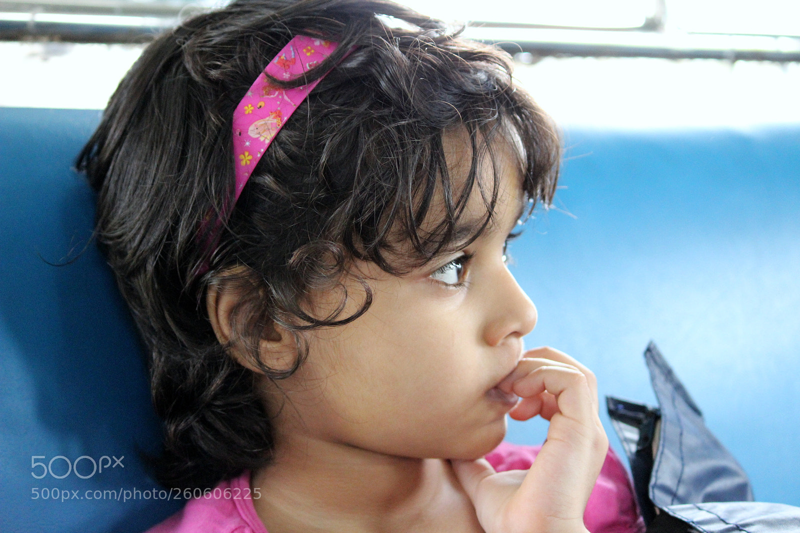 Canon EF-S 55-250mm F4-5.6 IS II sample photo. Shivani photography