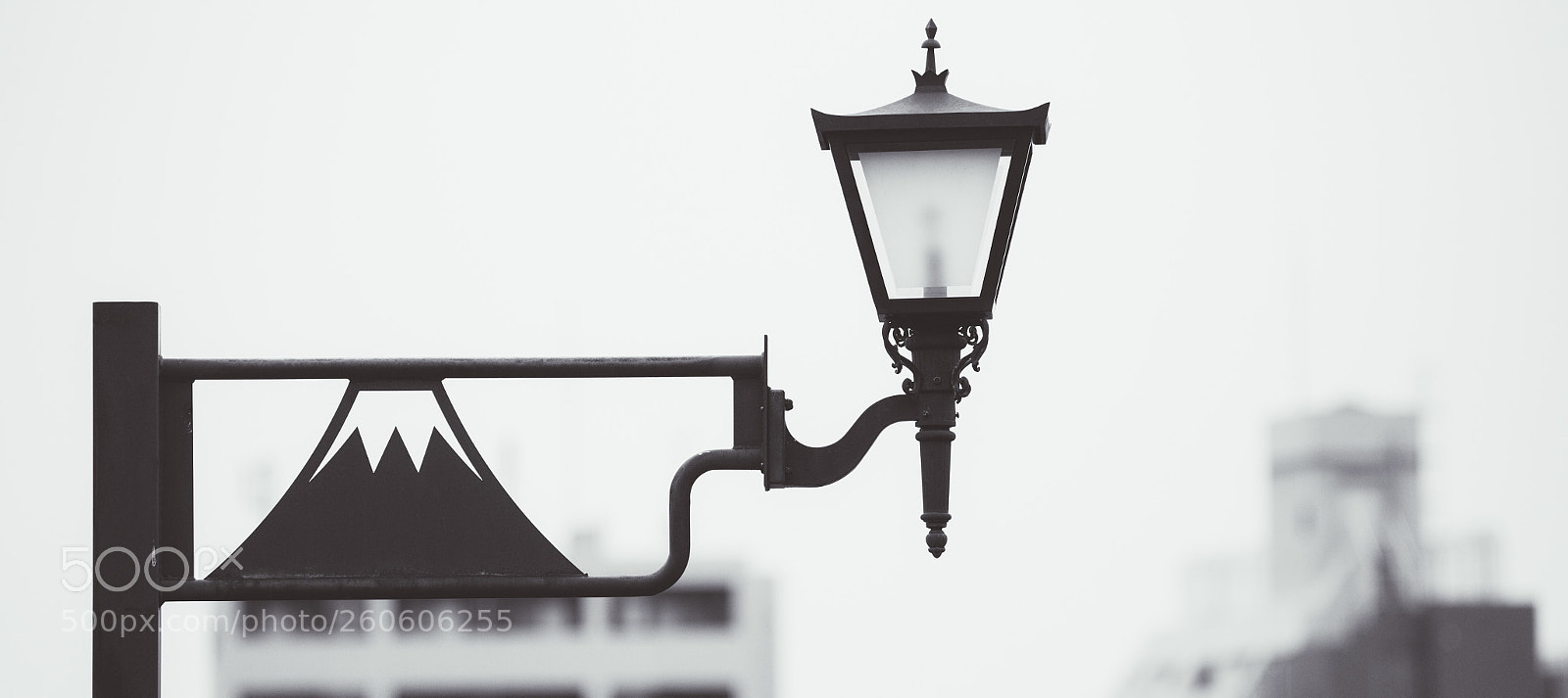 Canon EOS 6D sample photo. Fuji's lamp photography