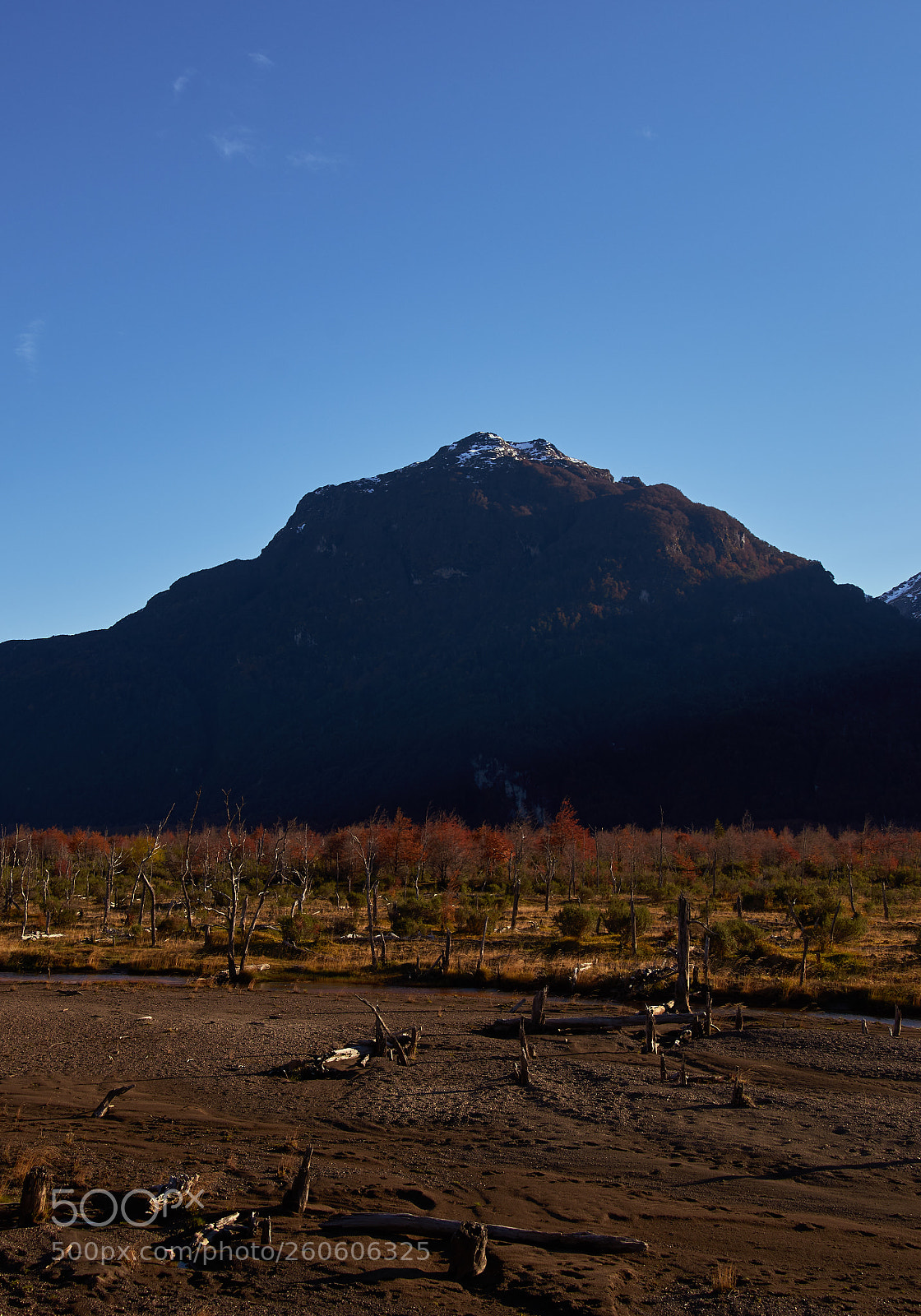 Nikon D7000 sample photo. Bosque muerto photography