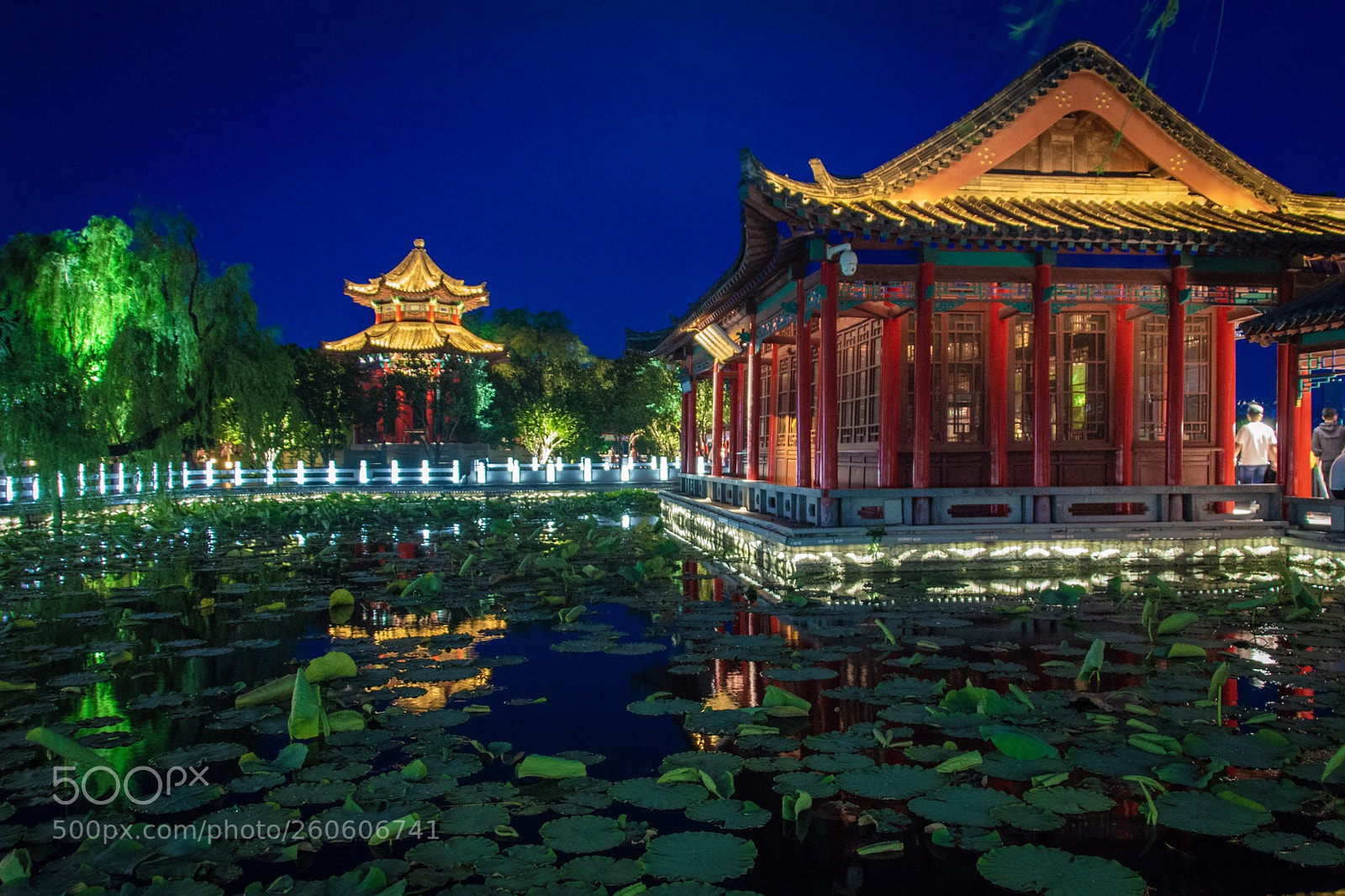 Nikon D7200 sample photo. Jinan photography